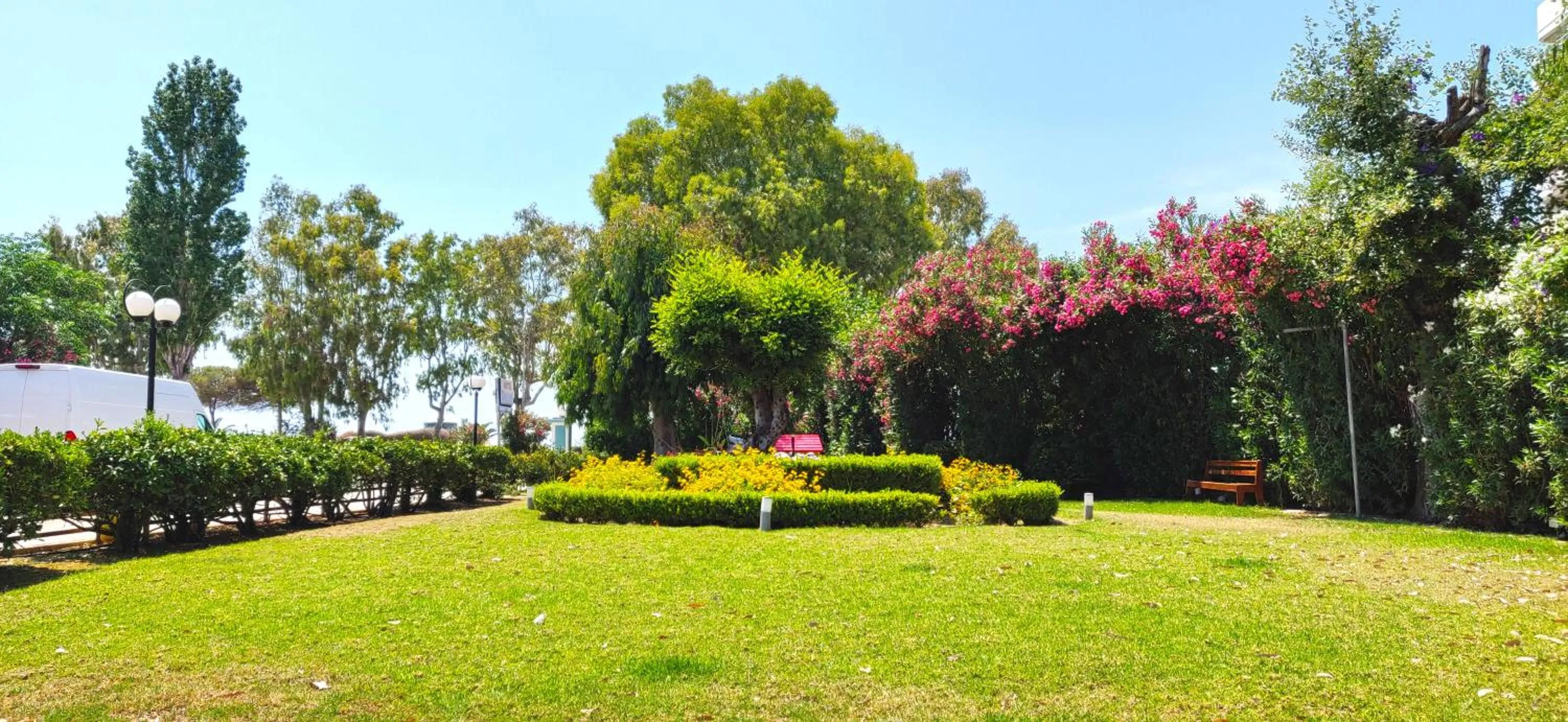Garden in Delfini Hotel