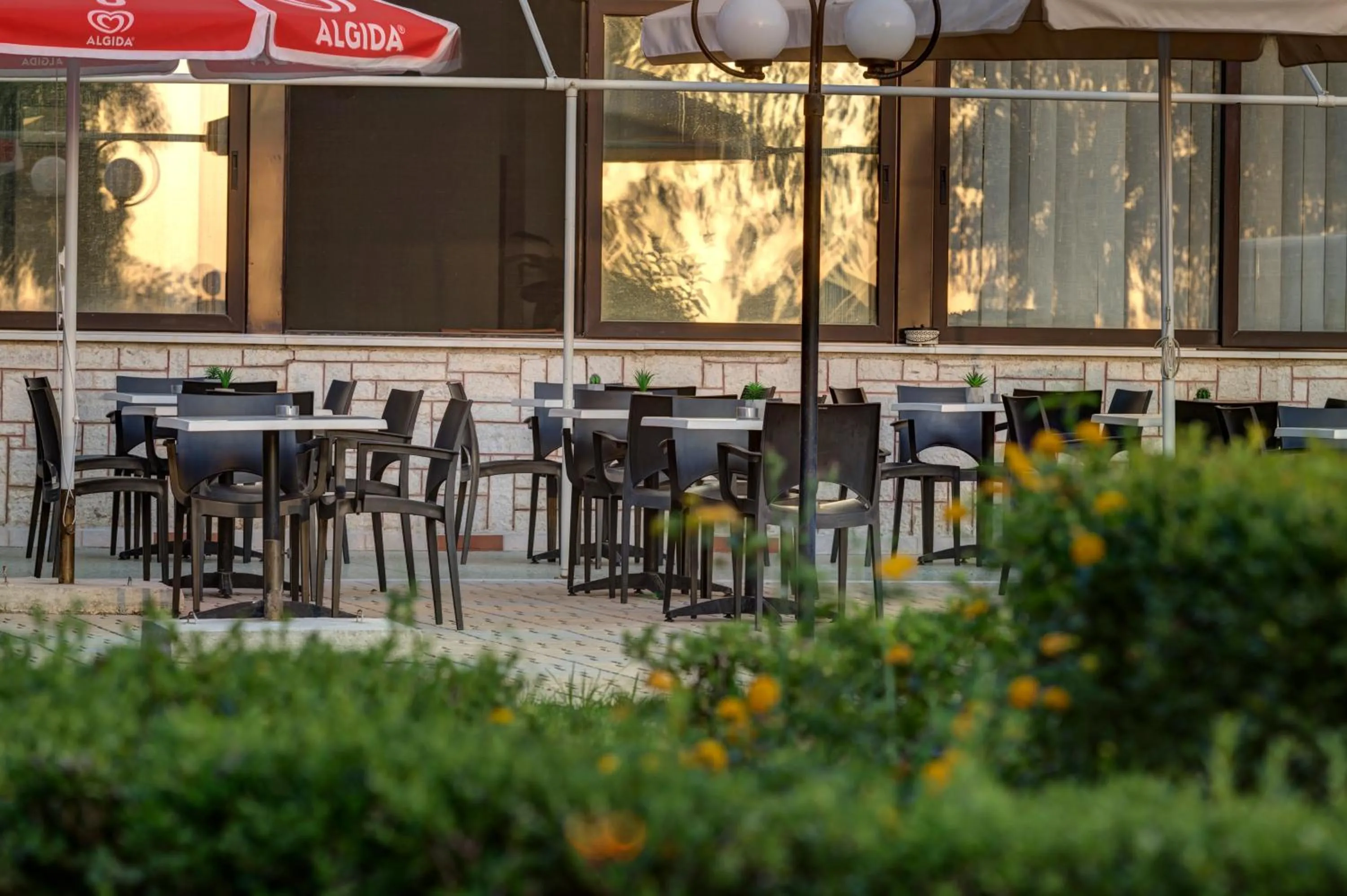 Garden in Delfini Hotel