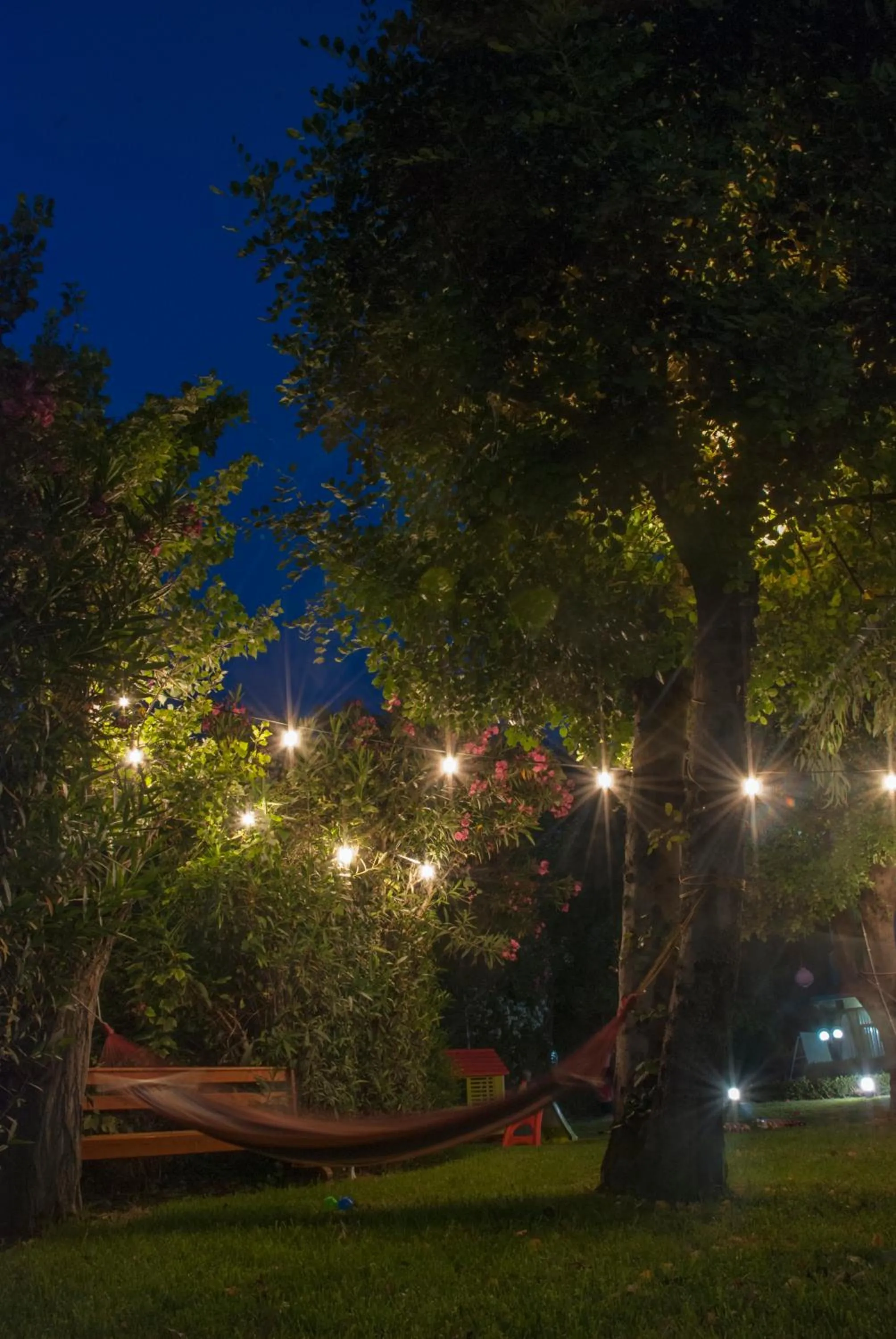 Garden in Delfini Hotel