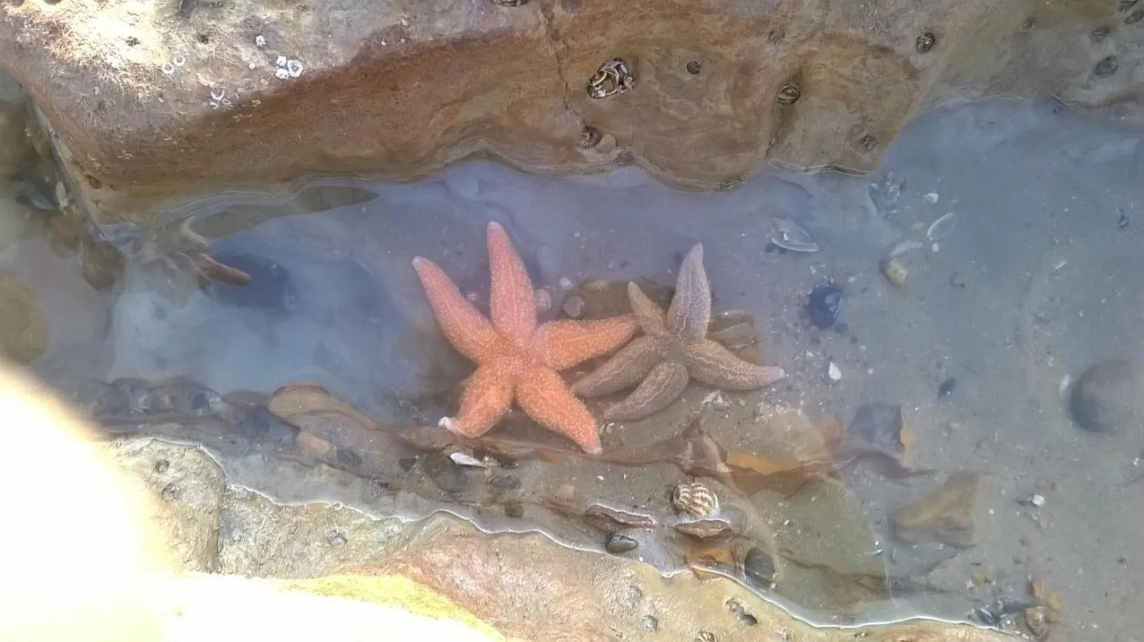 Fishing in Ritz Summerhouse