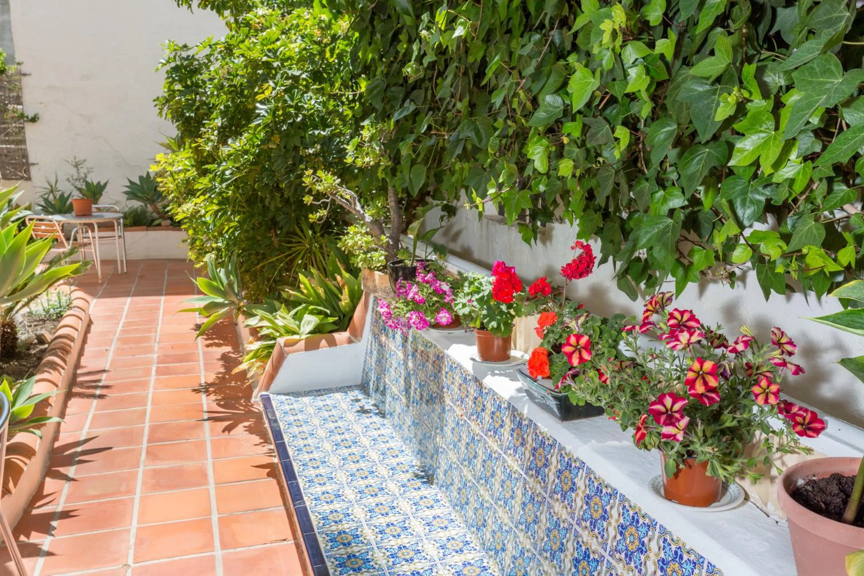 Garden in Hotel Buigues