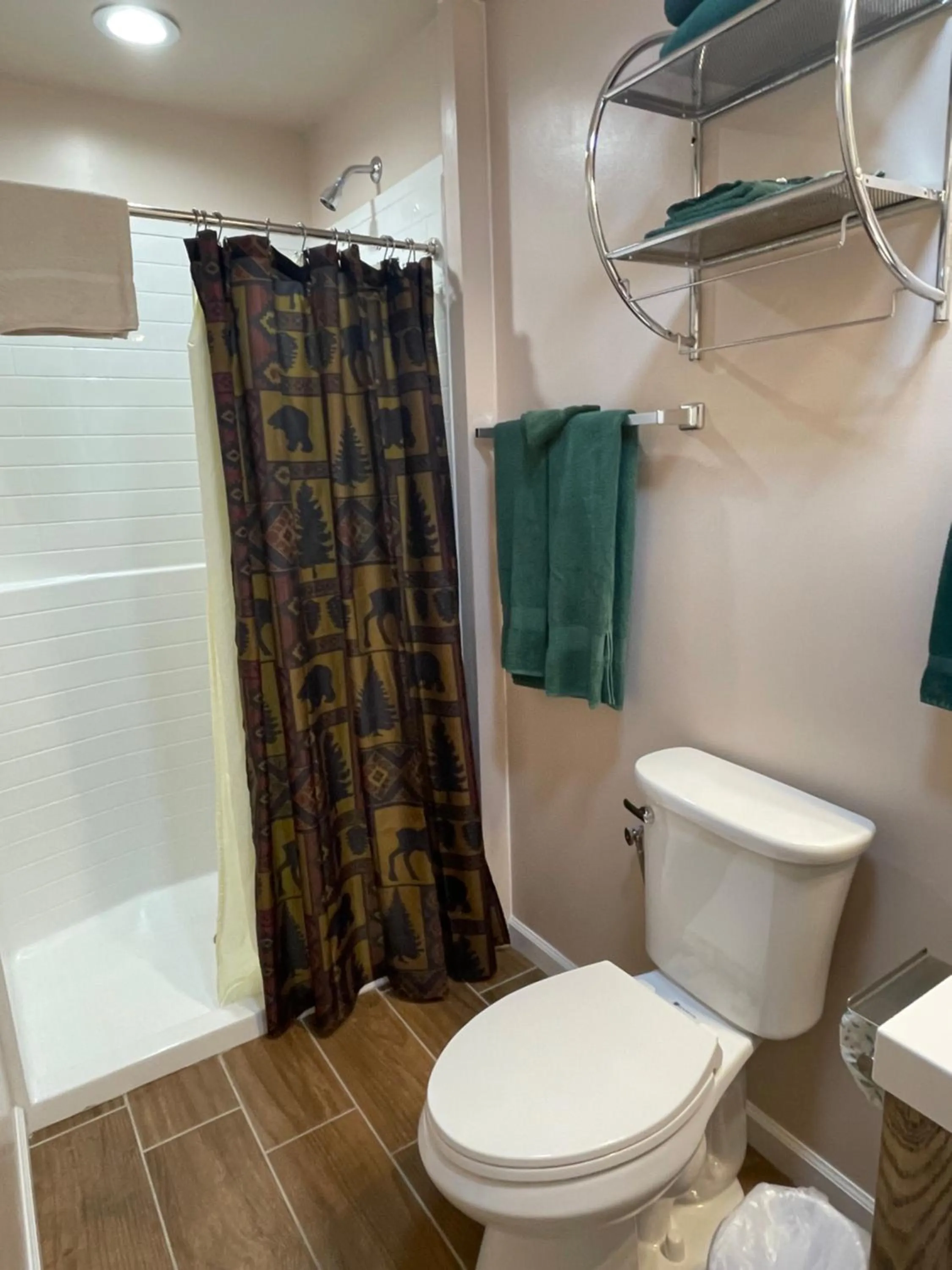 Bathroom in Hill View Motel and Cottages