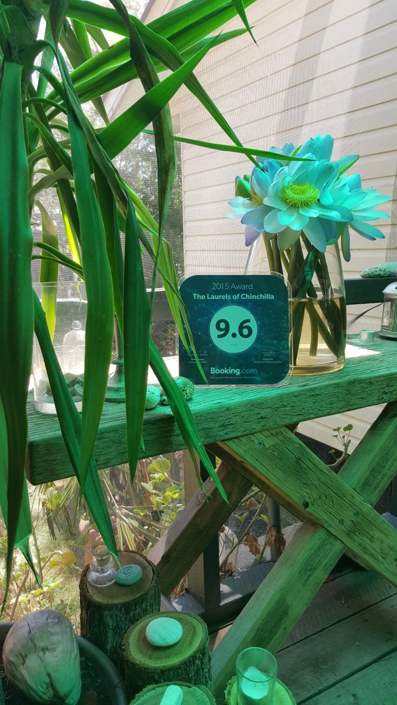 Certificate/Award in The Laurels of Chinchilla