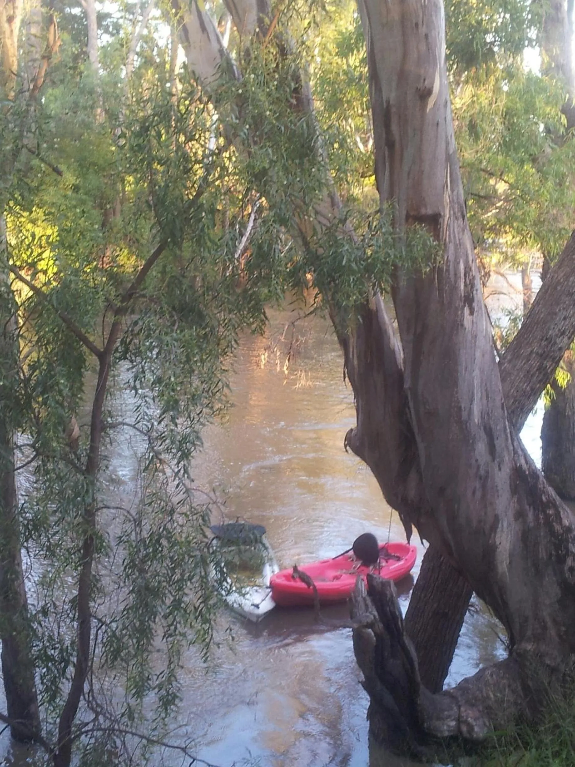 Fishing in The Laurels of Chinchilla