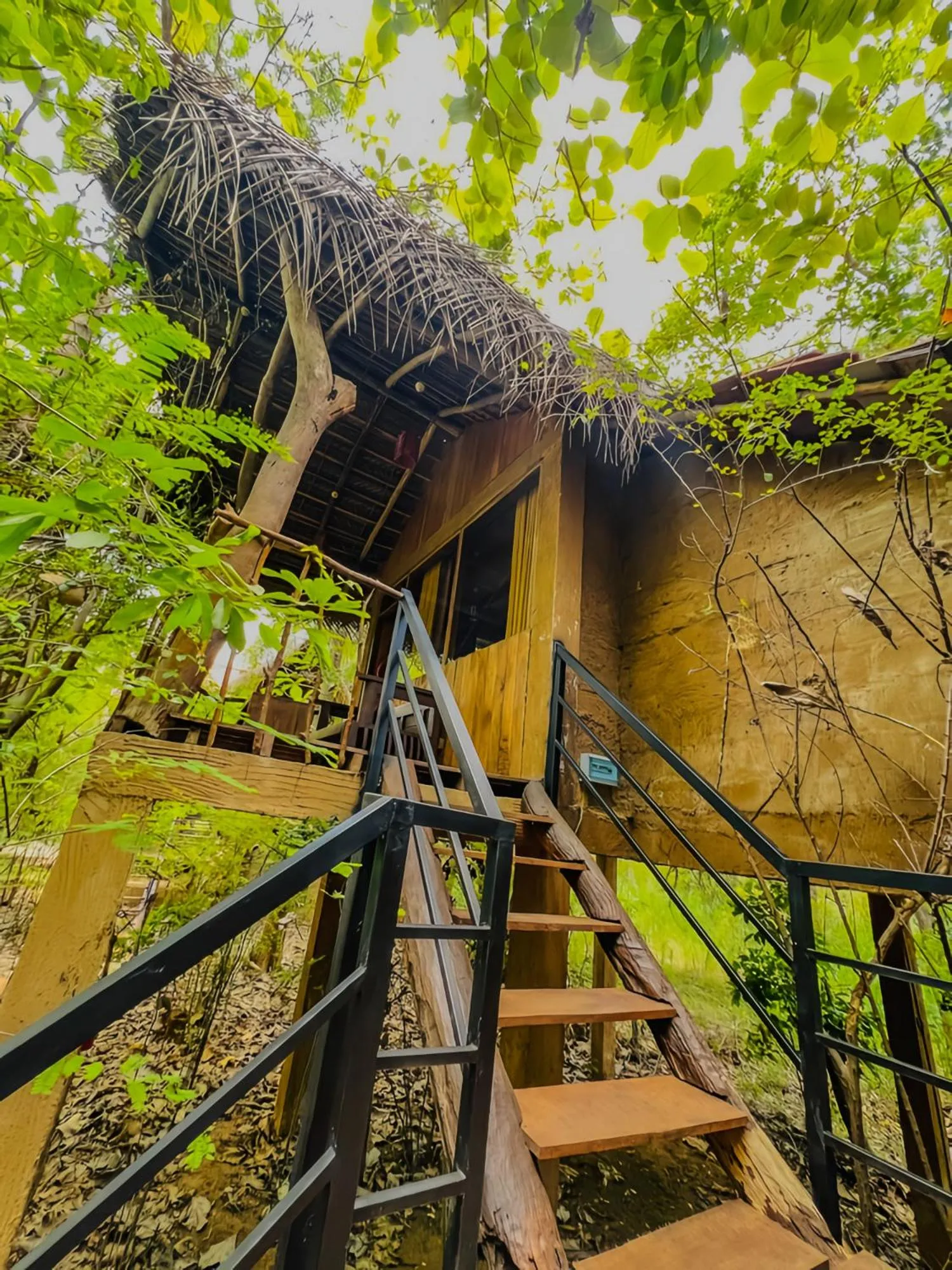 Habarana Tree House Ambasewana Resort