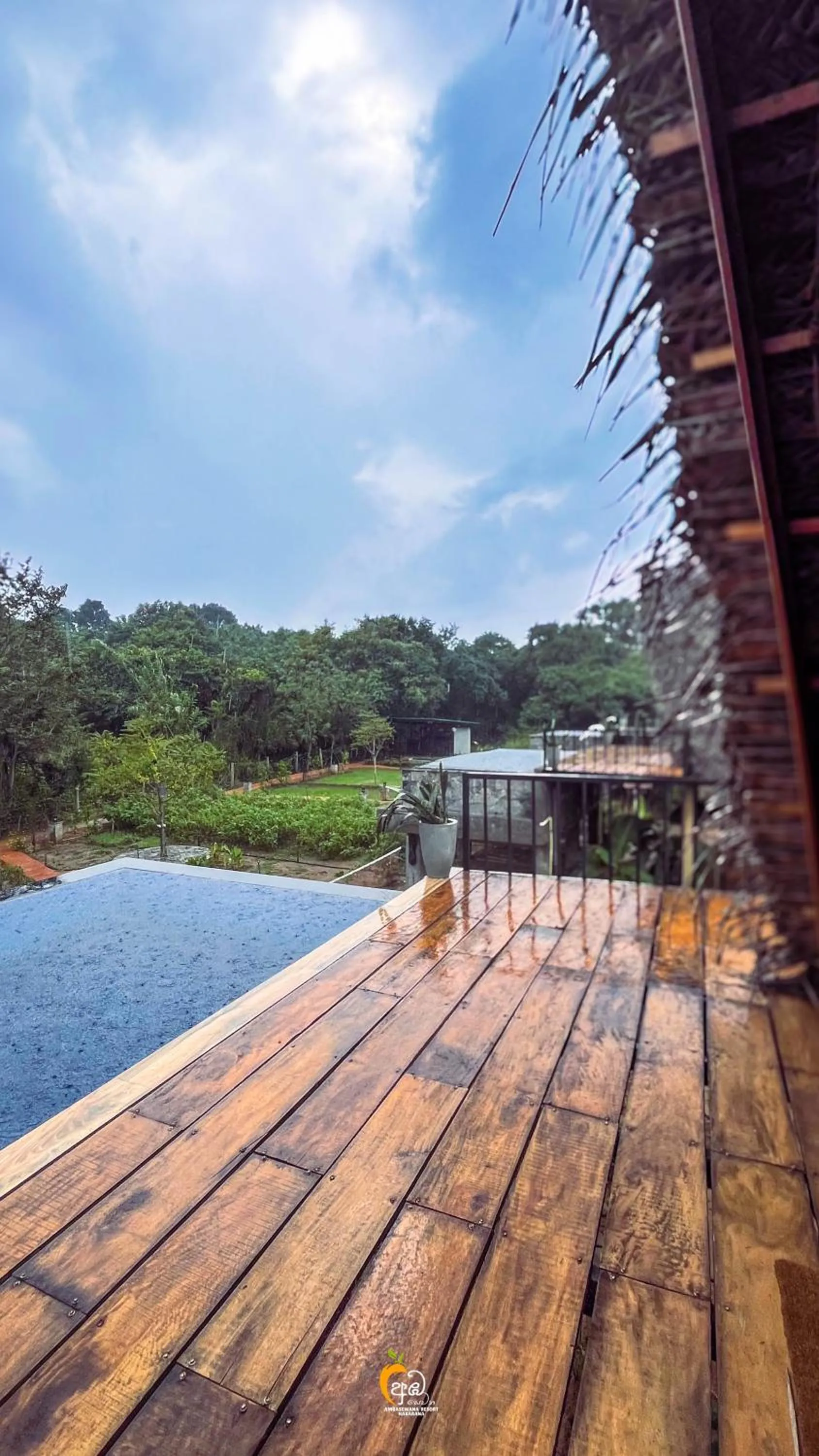 Pool view in Habarana Tree House Ambasewana Resort