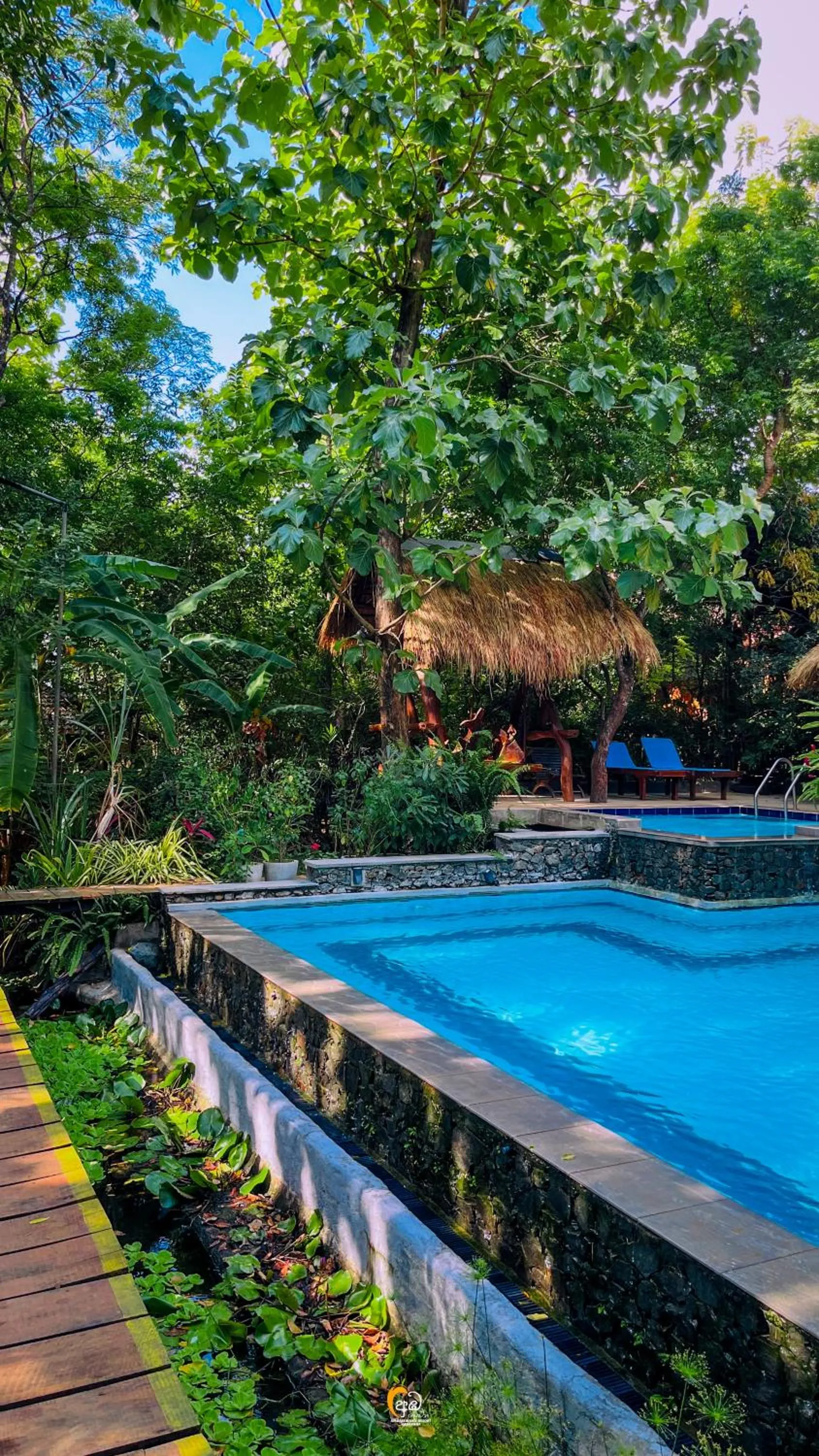 Pool view in Habarana Tree House Ambasewana Resort