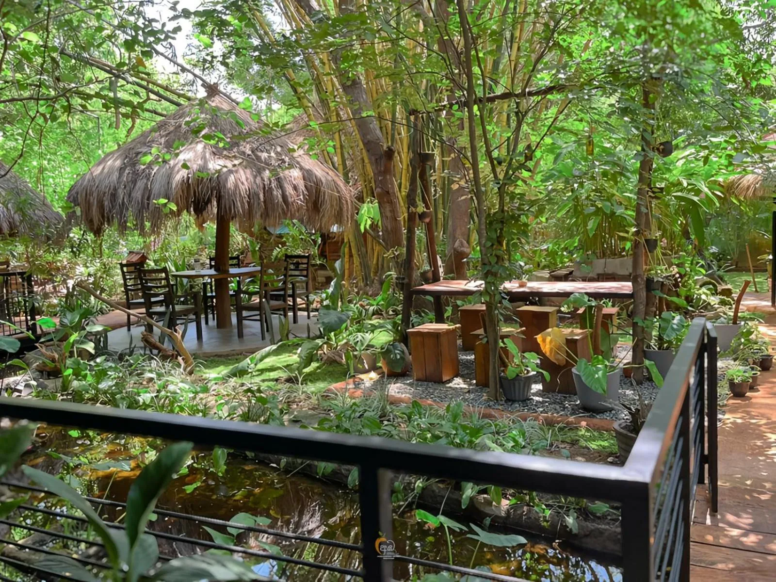 Spring in Habarana Tree House Ambasewana Resort