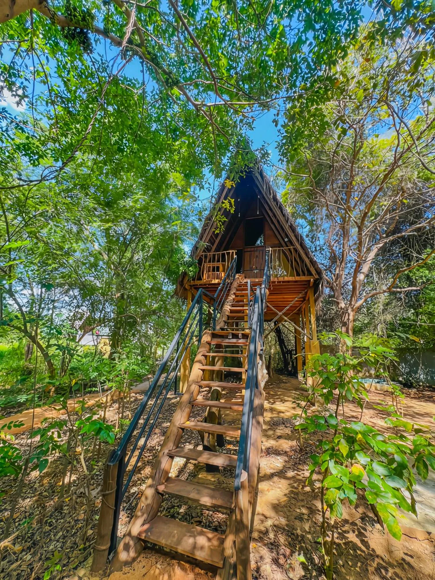 Habarana Tree House Ambasewana Resort