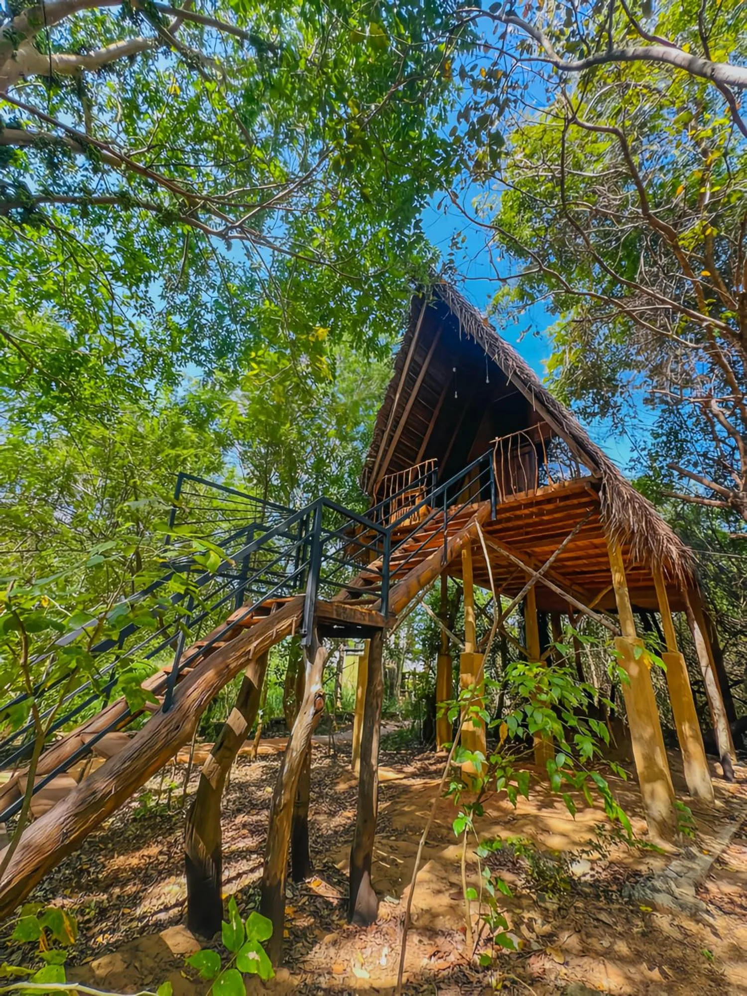 Habarana Tree House Ambasewana Resort
