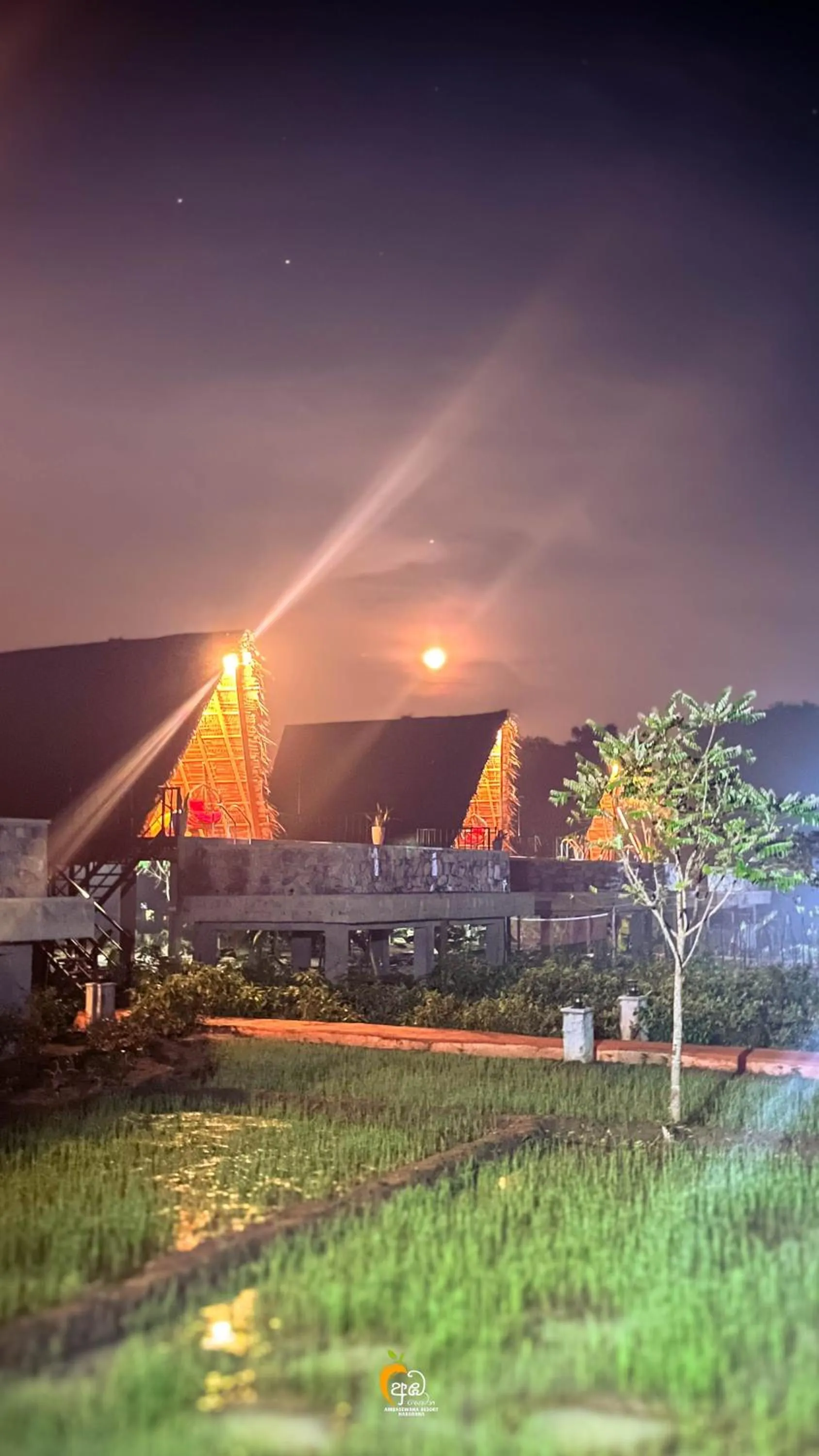 Night in Habarana Tree House Ambasewana Resort