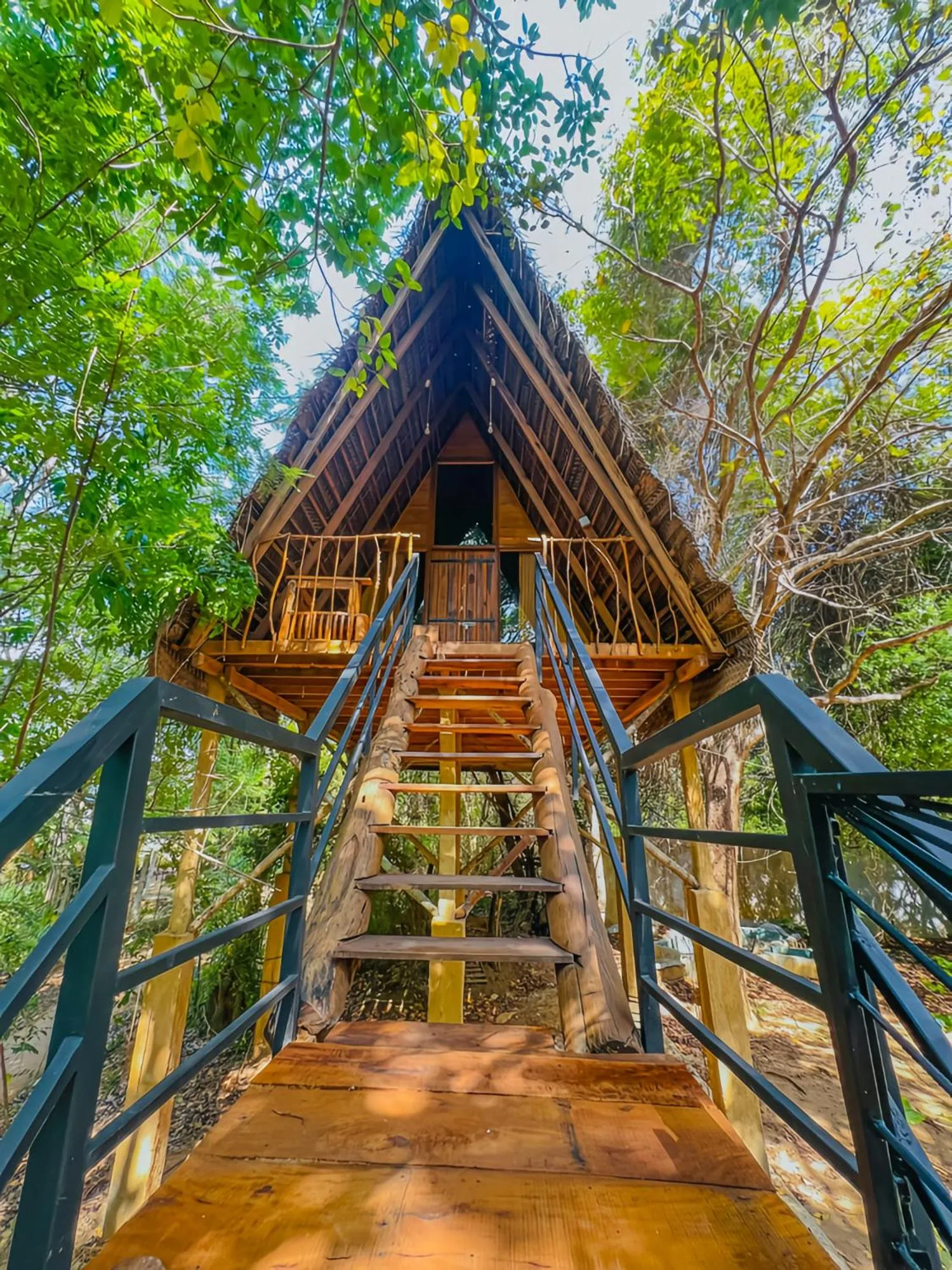 Habarana Tree House Ambasewana Resort