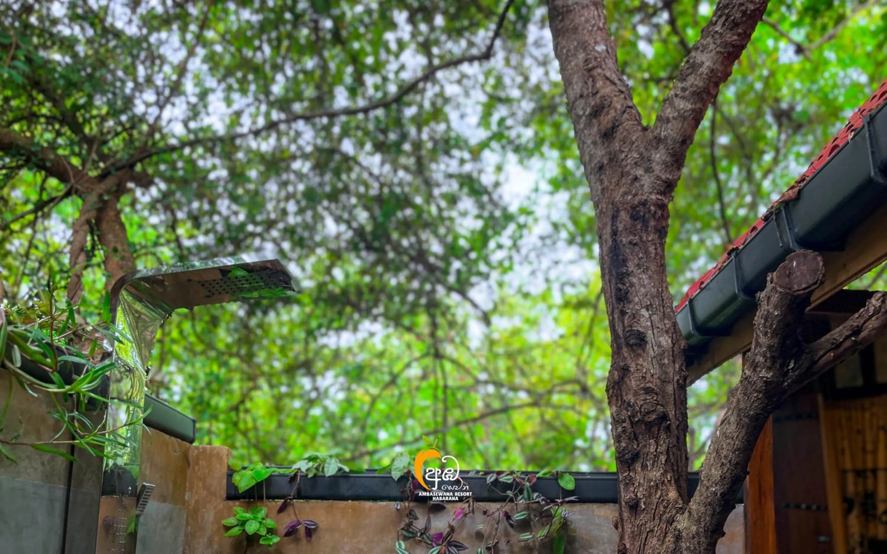 Shower in Habarana Tree House Ambasewana Resort