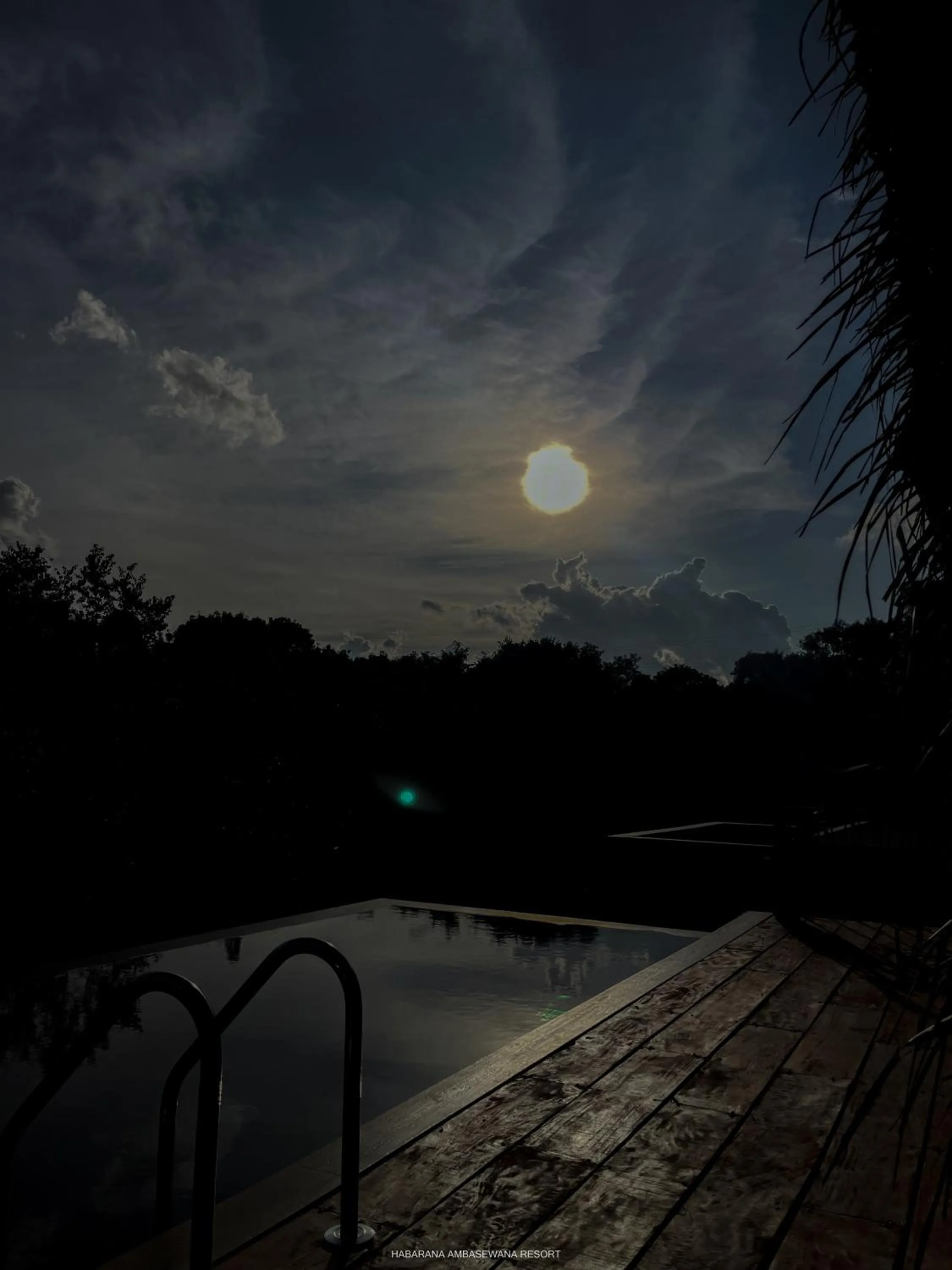 Swimming pool in Habarana Tree House Ambasewana Resort