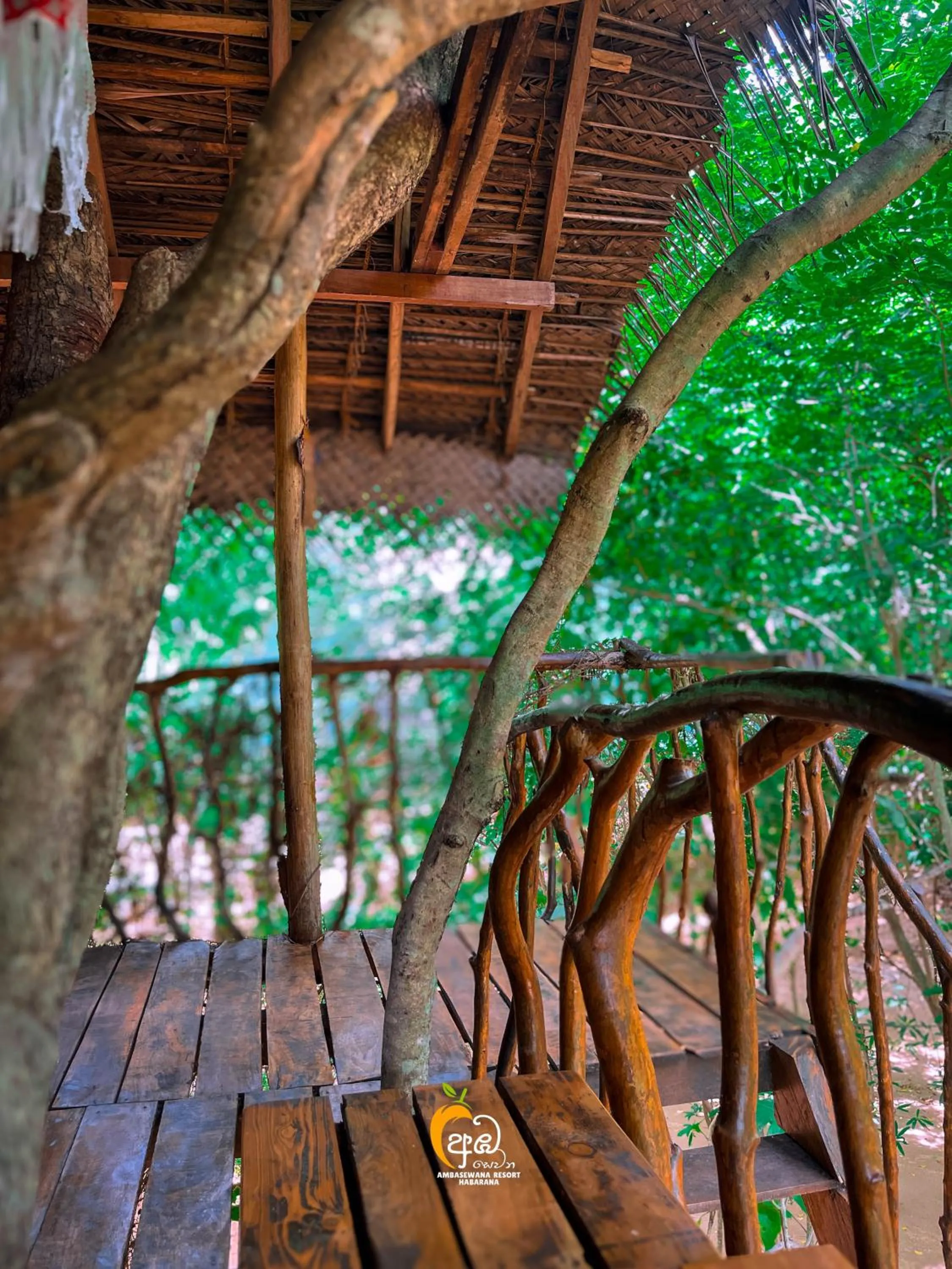 Natural landscape in Habarana Tree House Ambasewana Resort