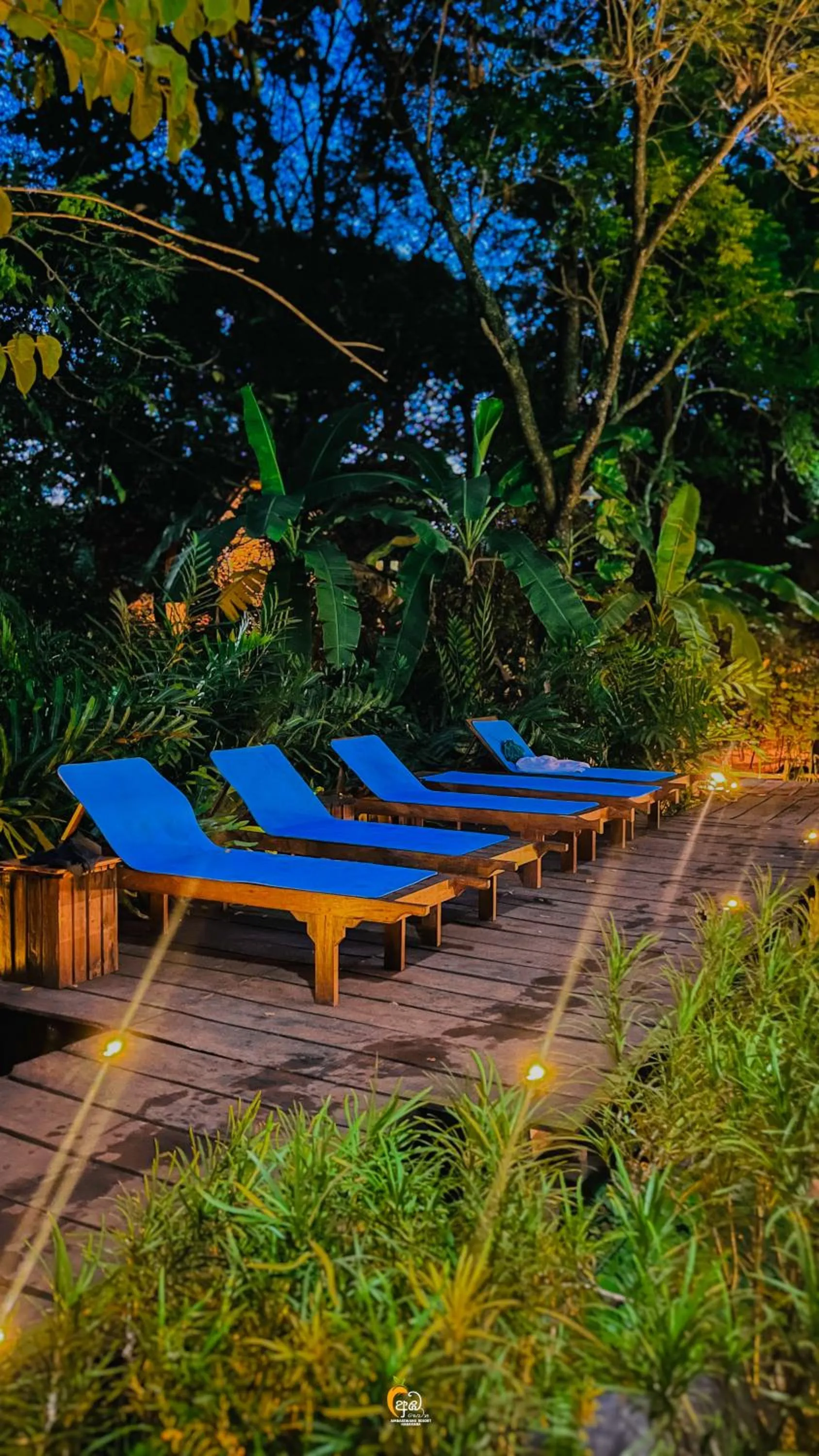 Natural landscape in Habarana Tree House Ambasewana Resort