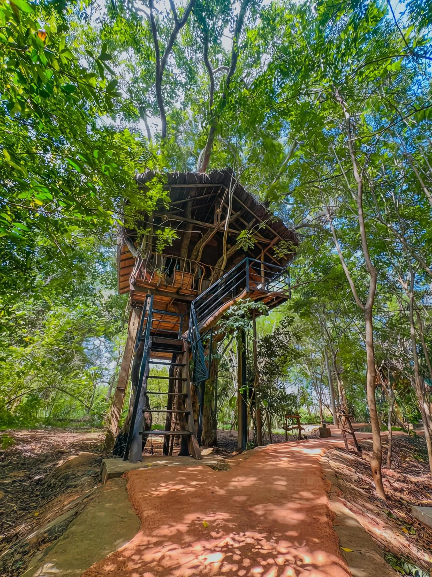 Habarana Tree House Ambasewana Resort