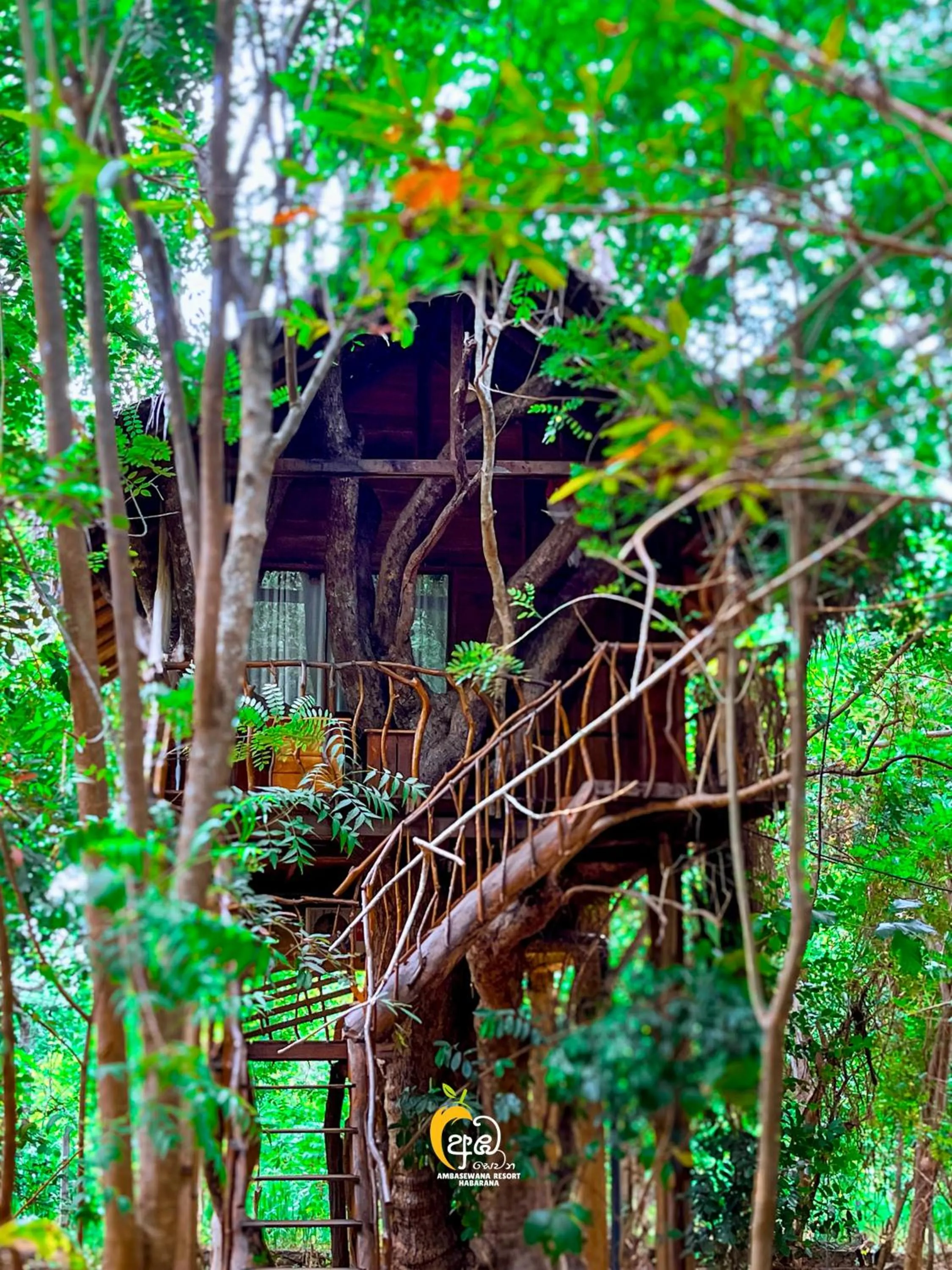 Property building in Habarana Tree House Ambasewana Resort