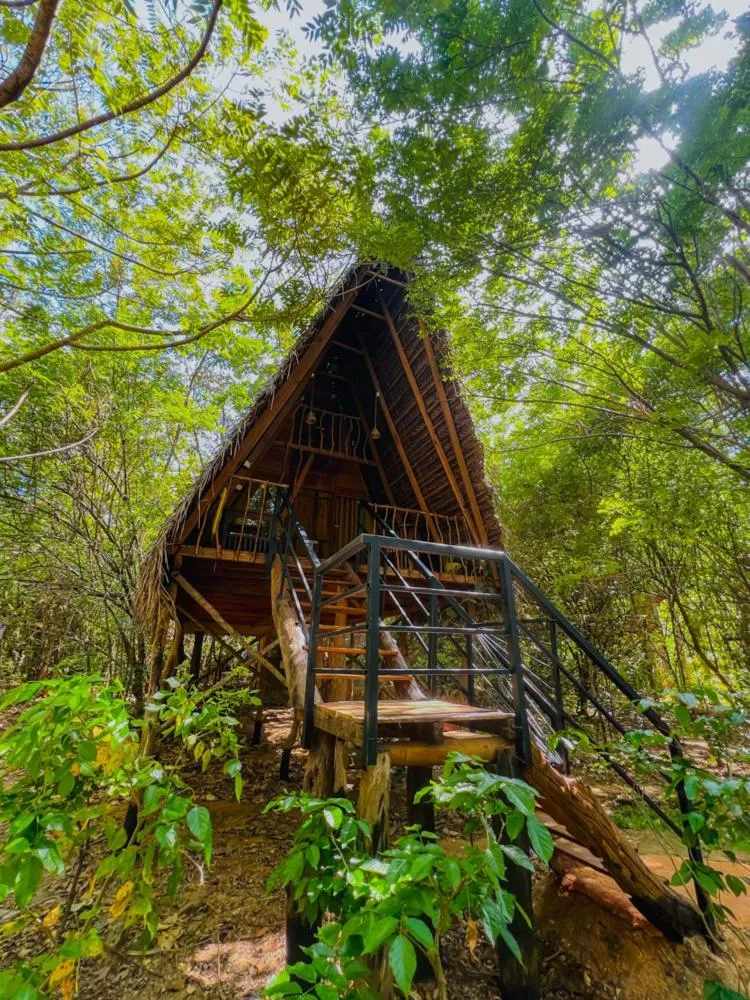 Habarana Tree House Ambasewana Resort