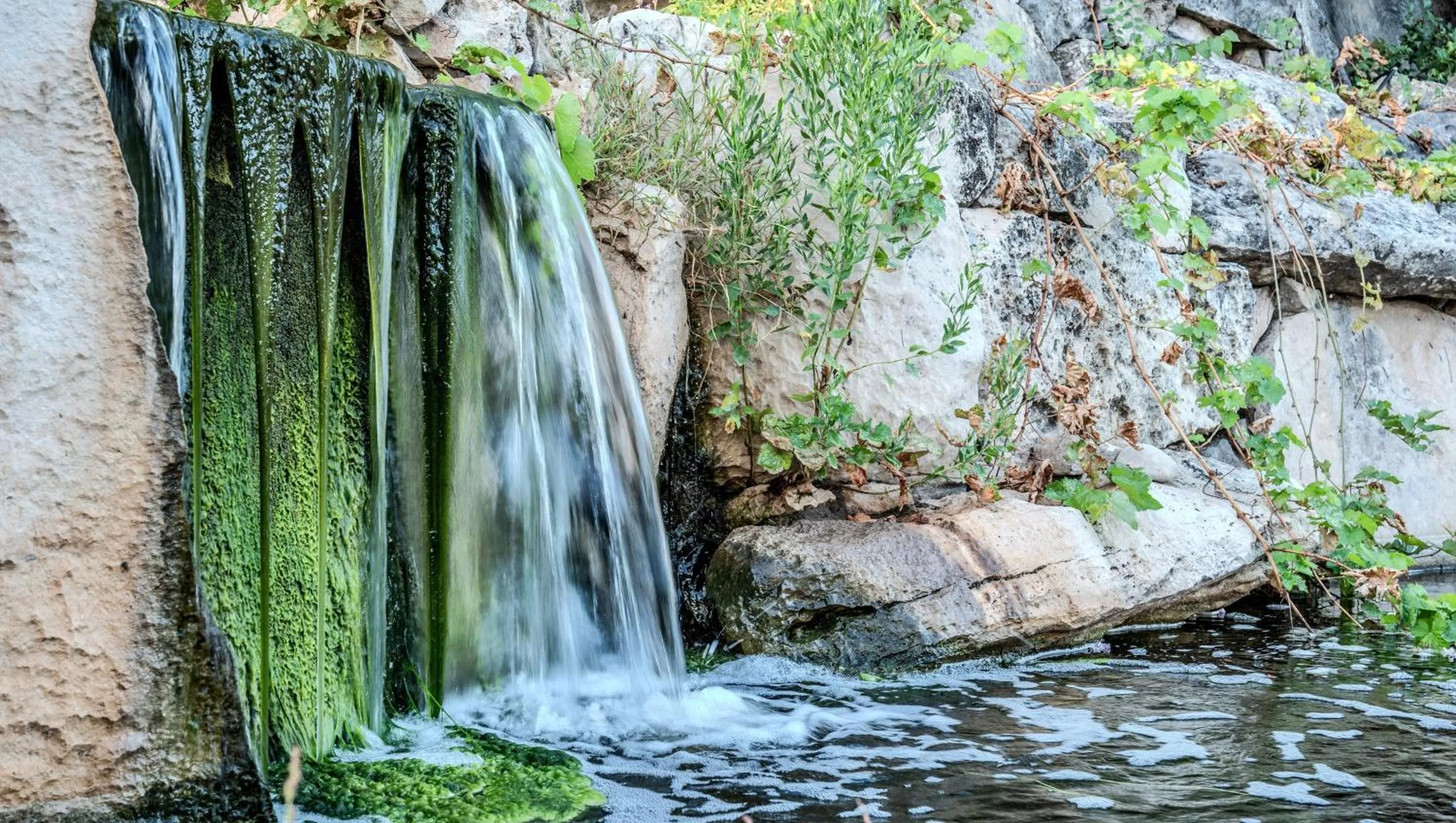 Area and facilities in Pearl on the Concho