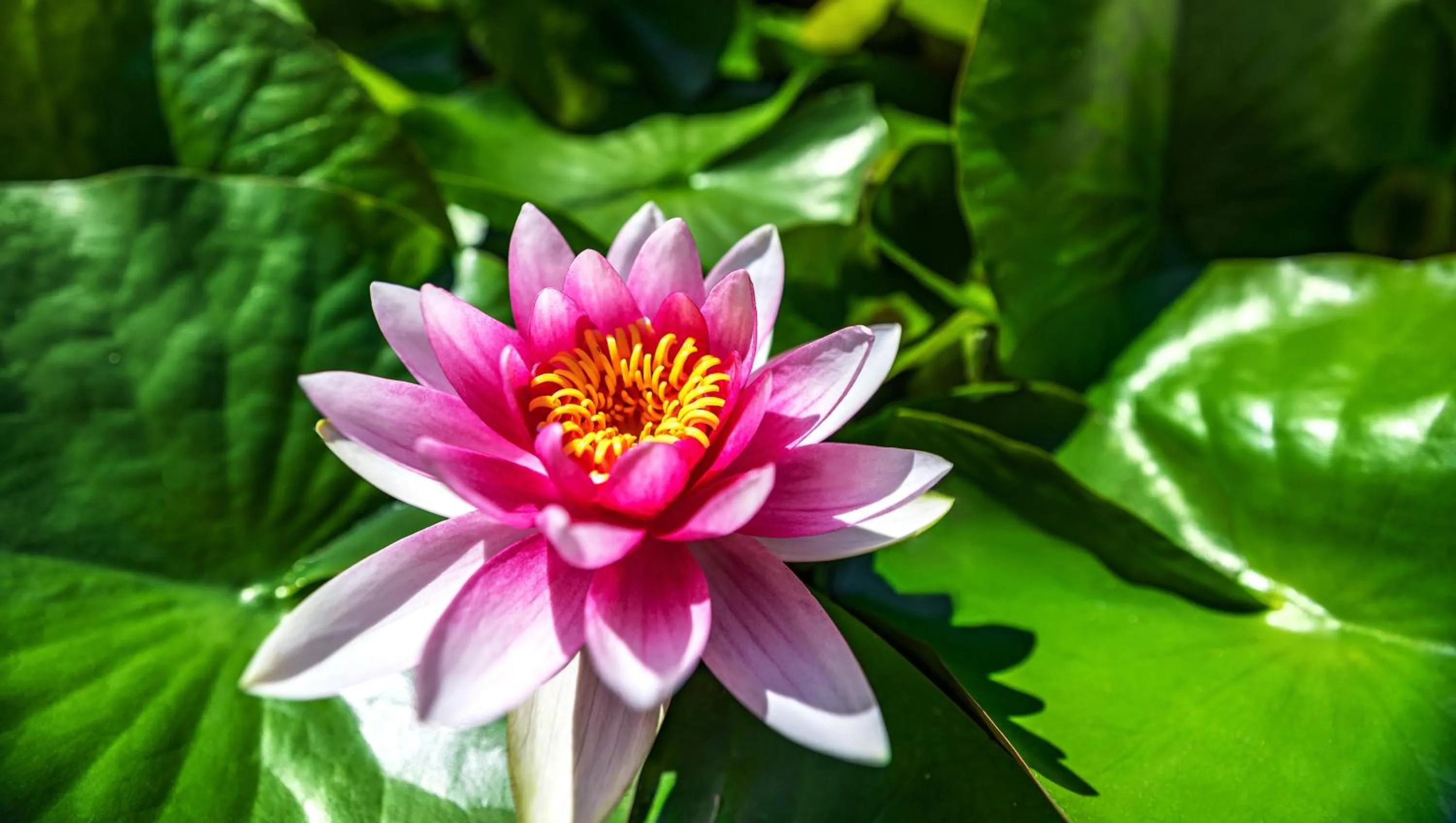 Area and facilities in Pearl on the Concho