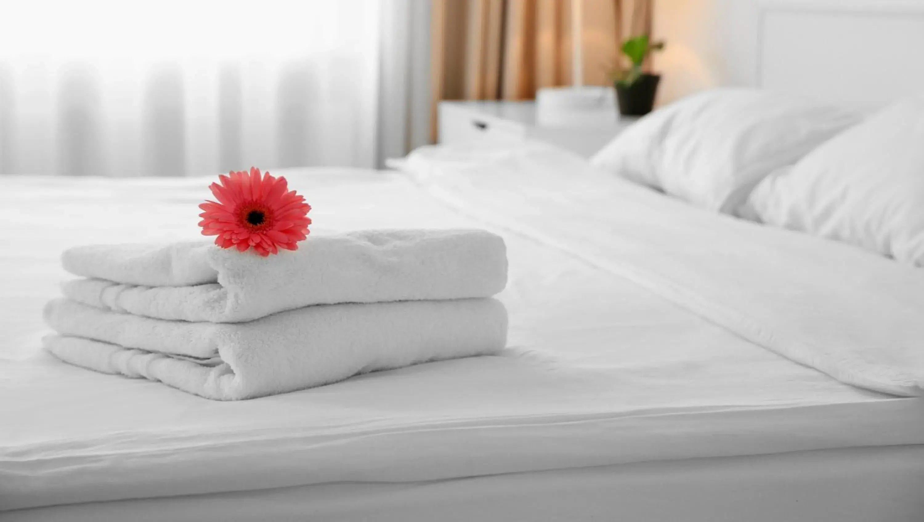 Accessible King Tub - Exterior Facing in Pearl on the Concho Accessible King Tub - Exterior Facing in Pearl on the Concho