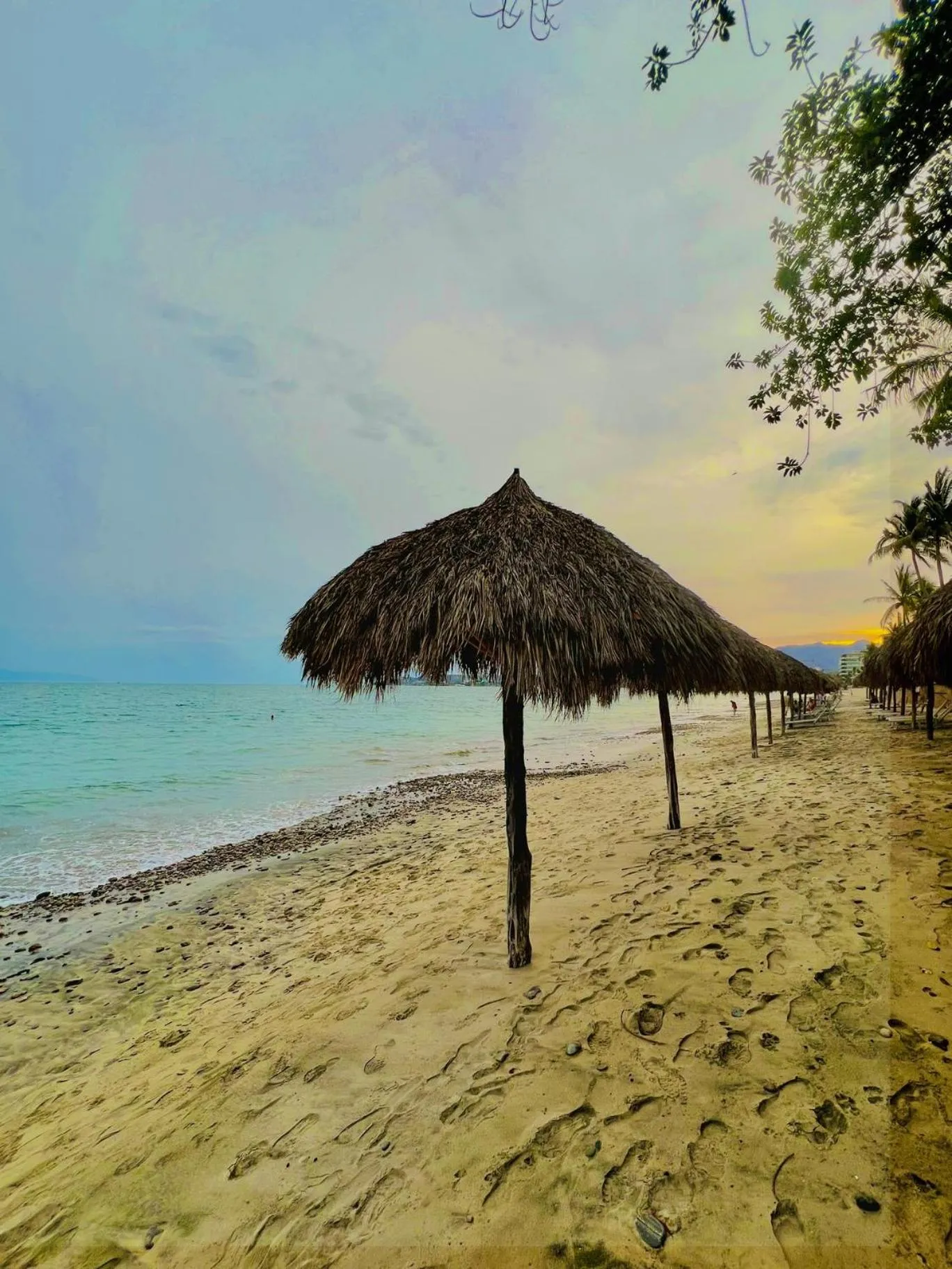 Beach in Los Picos Hotel & Suites Bucerias