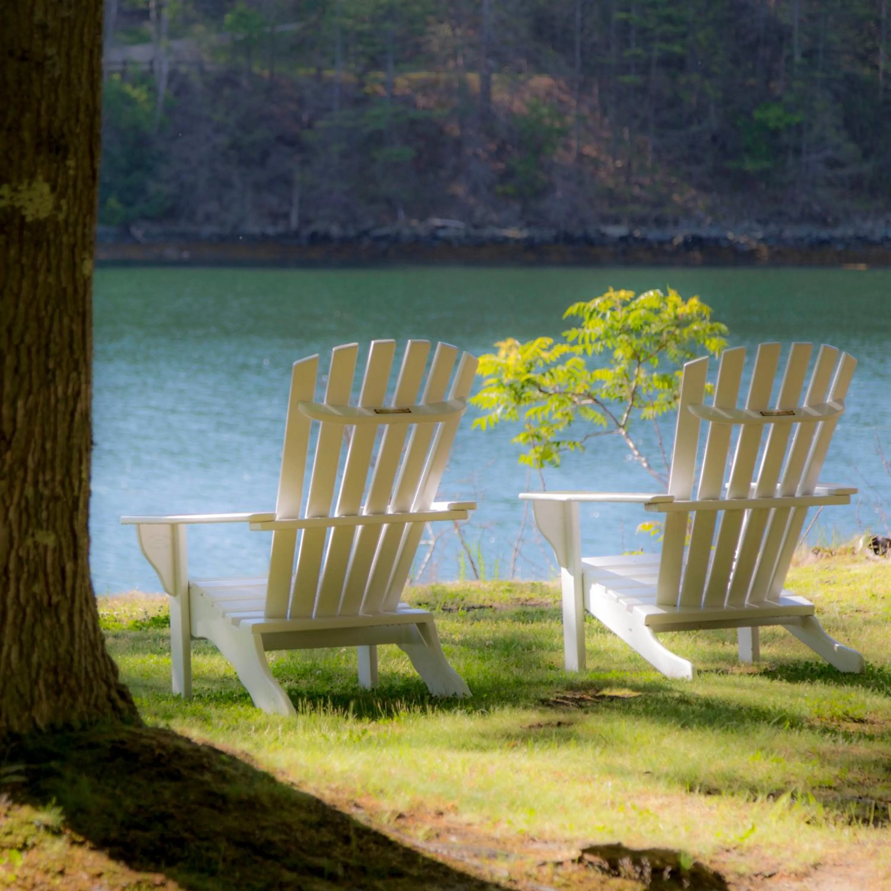 Sea view in Inn at Diamond Cove