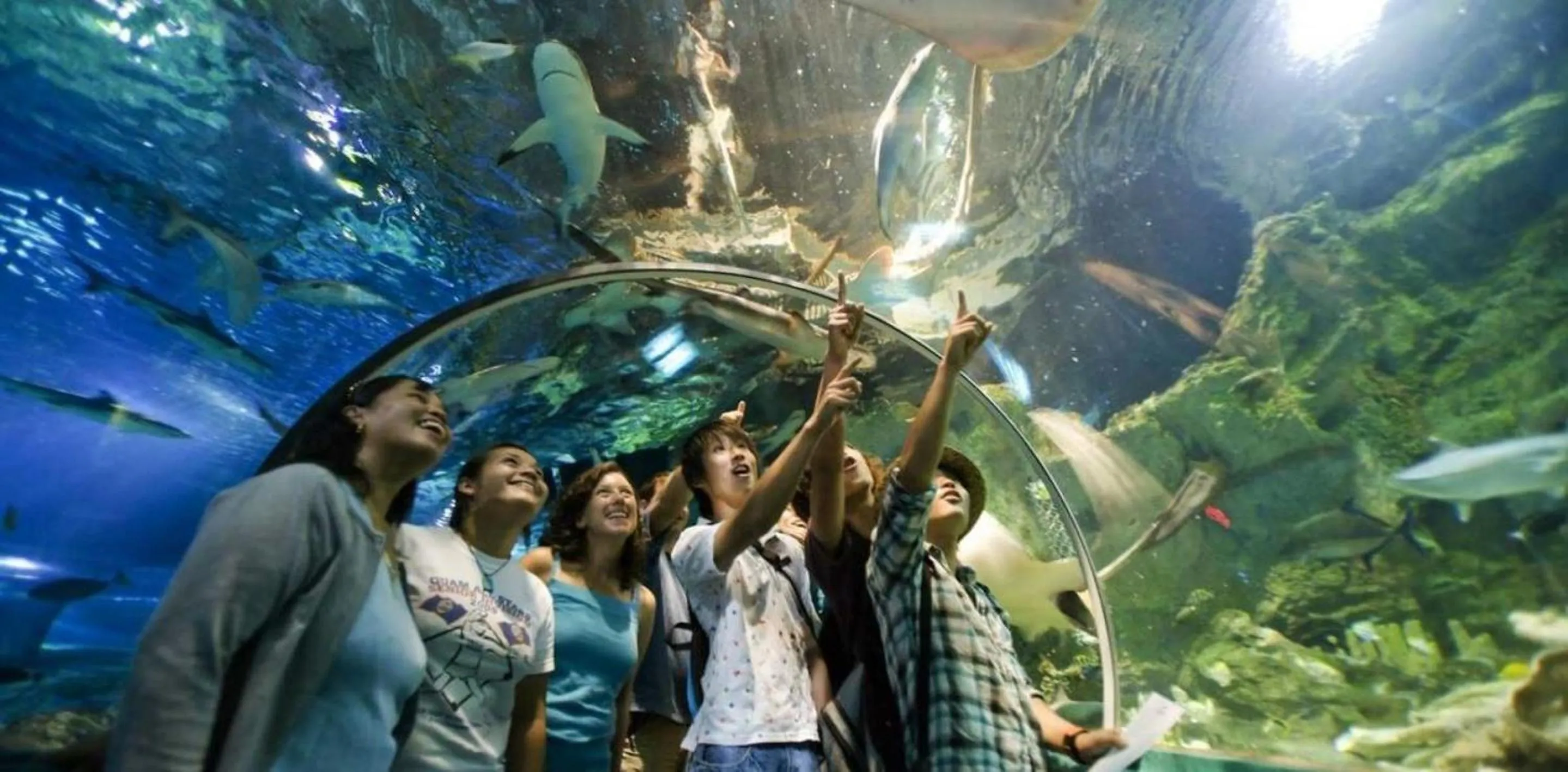 Activities in Dusit Beach Resort Guam