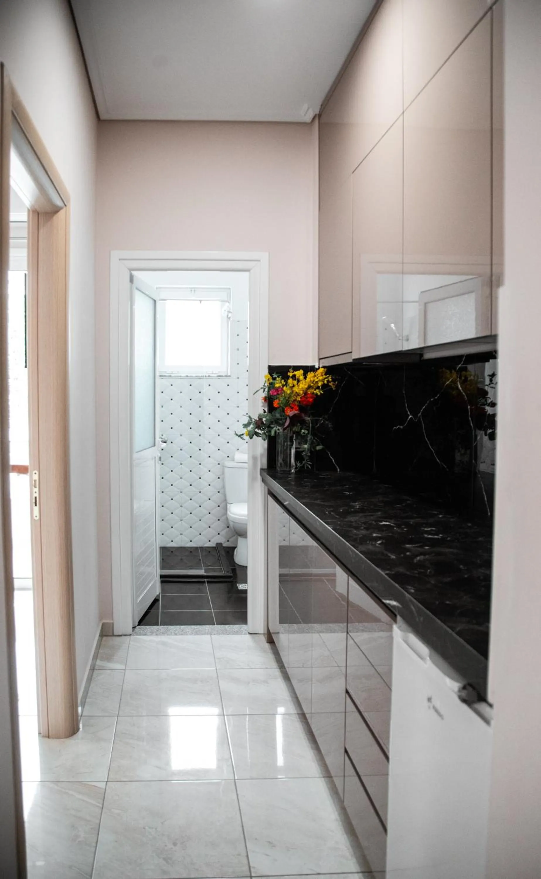 Kitchen or kitchenette in Vila e Bardhe Butique Hotel