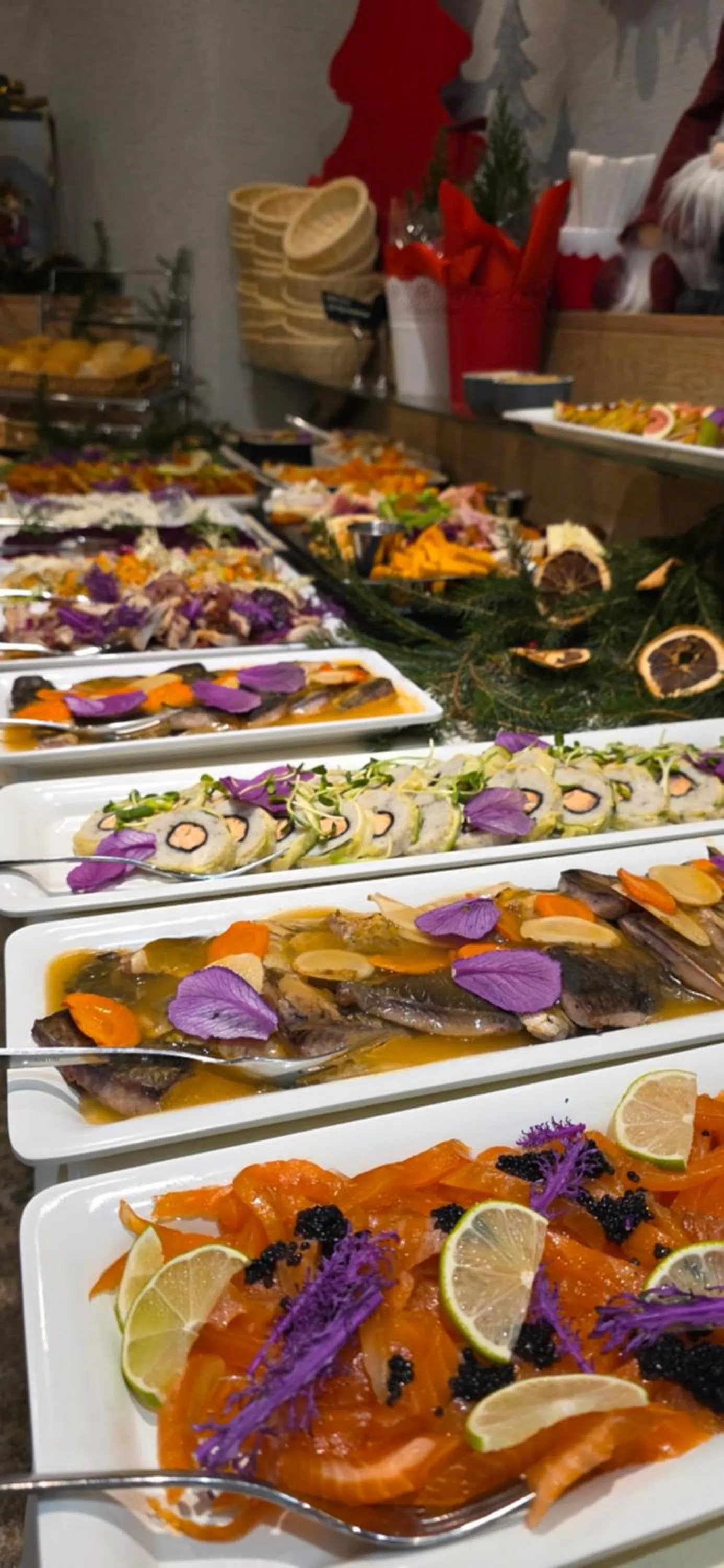 Hotel SKAL Medi SPA & Resort