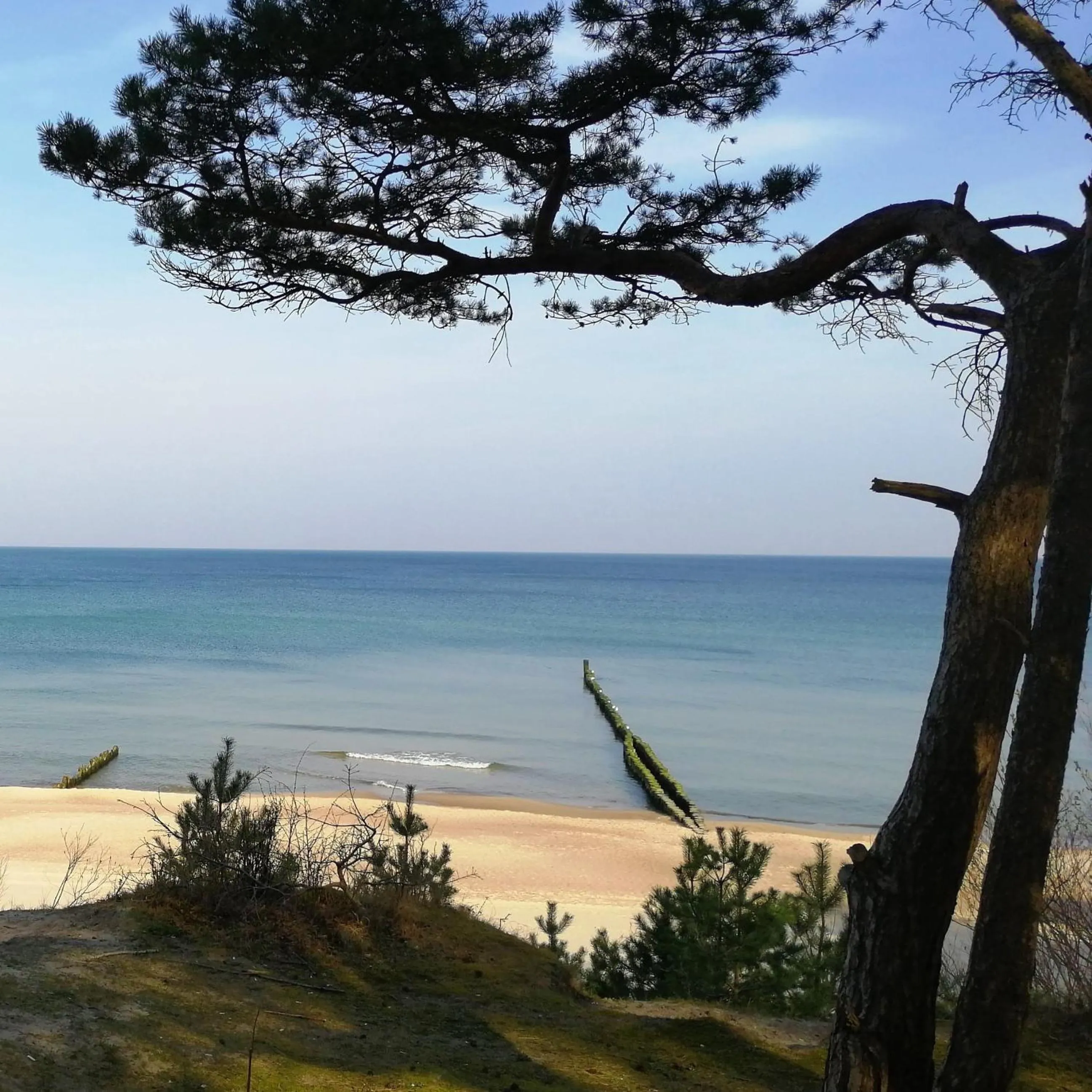 Nearby landmark in Hotel SKAL Medi SPA & Resort