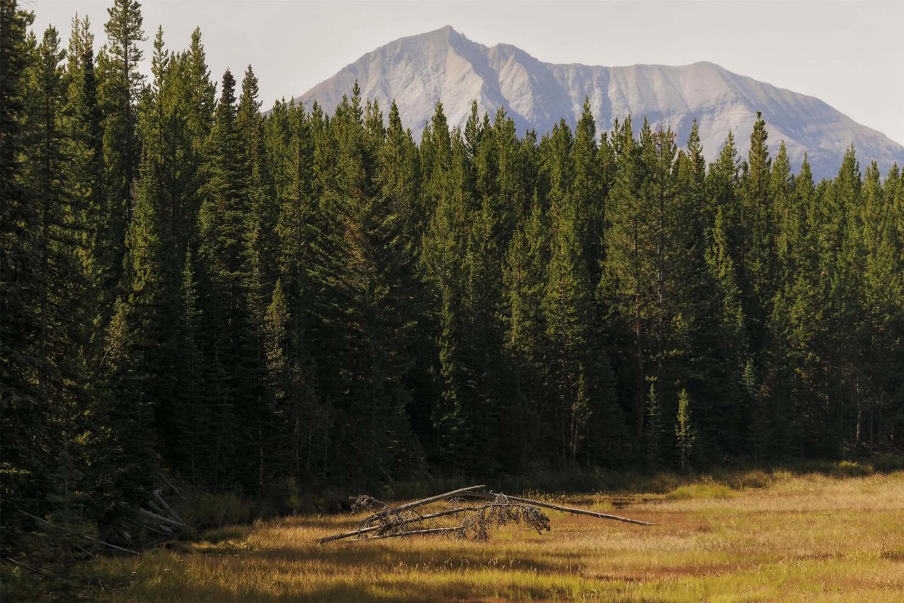 View (from property/room) in One&Only Moonlight Basin