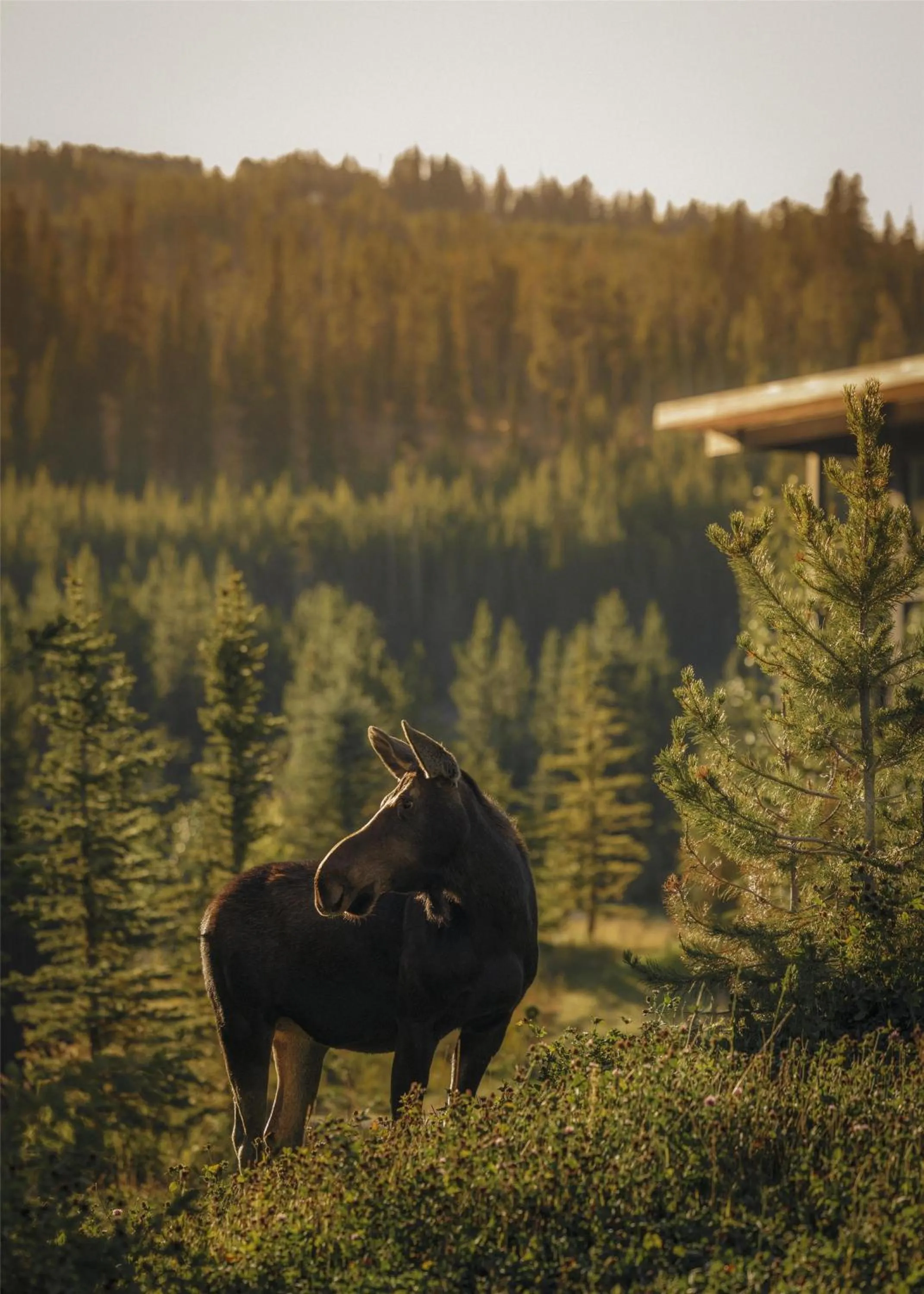 Property building in One&Only Moonlight Basin