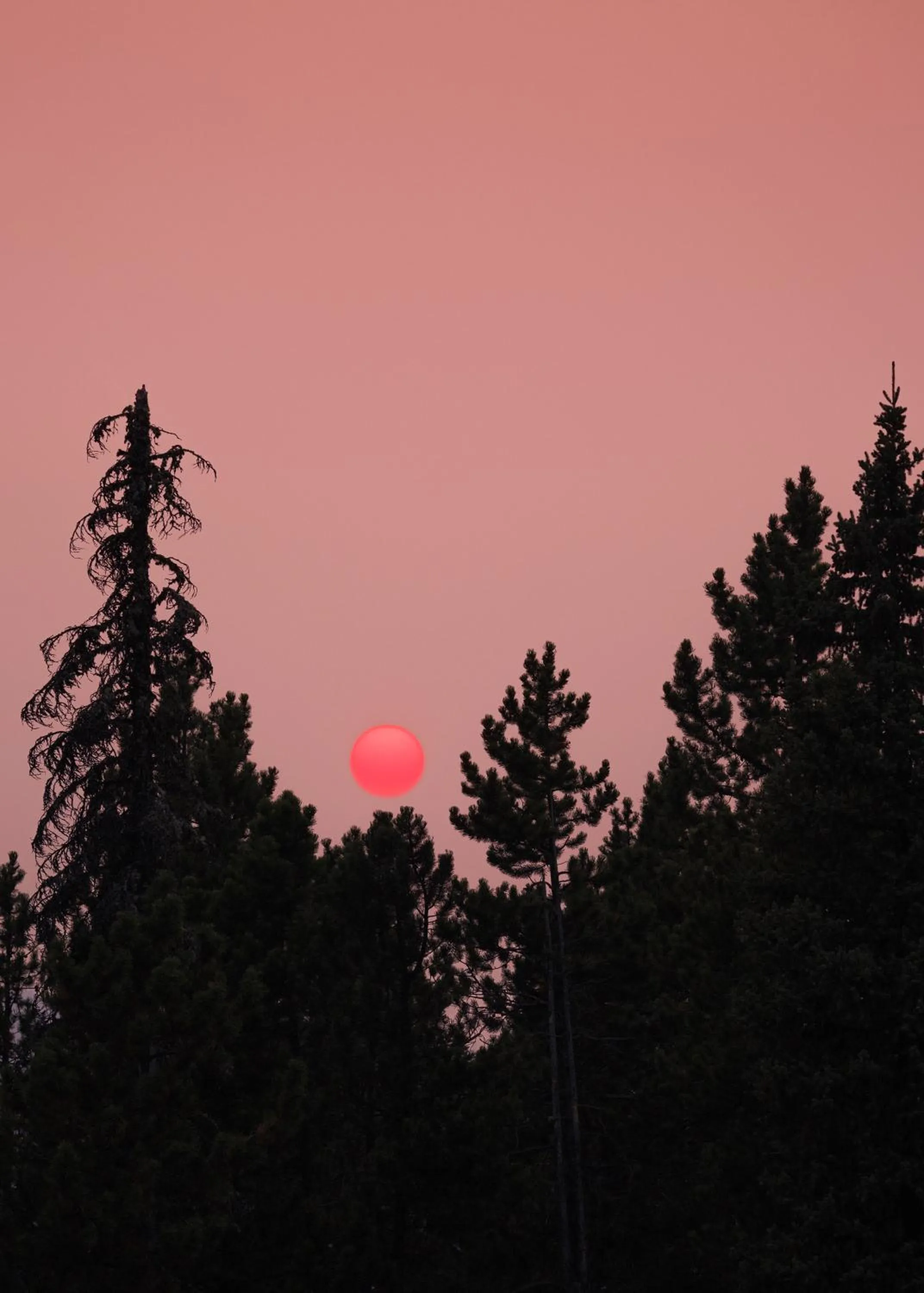 Natural landscape in One&Only Moonlight Basin