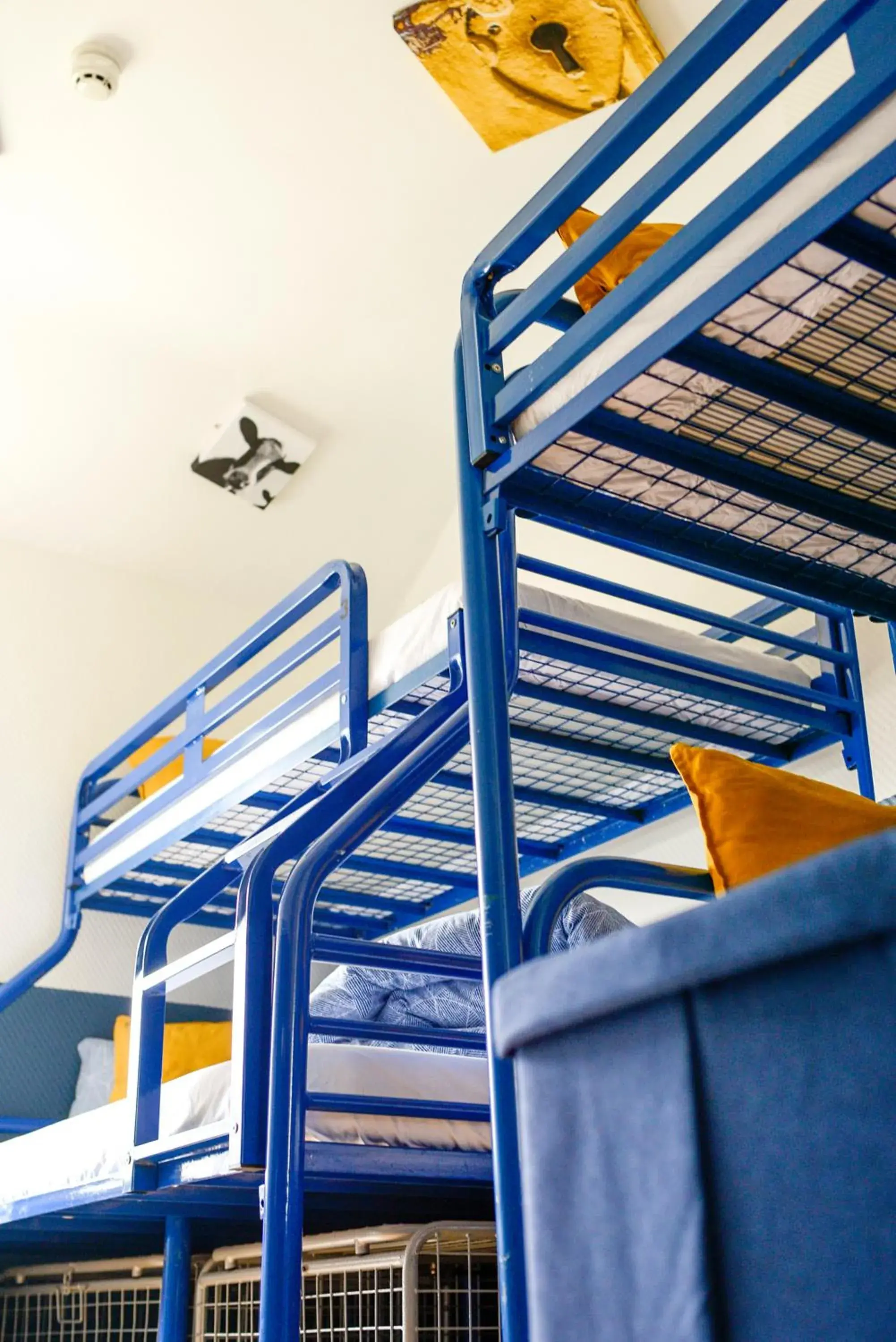 Bed in 4-Bed Mixed Dormitory Ensuite in The Woodquay Hostel Bed in 4-Bed Mixed Dormitory Ensuite in The Woodquay Hostel