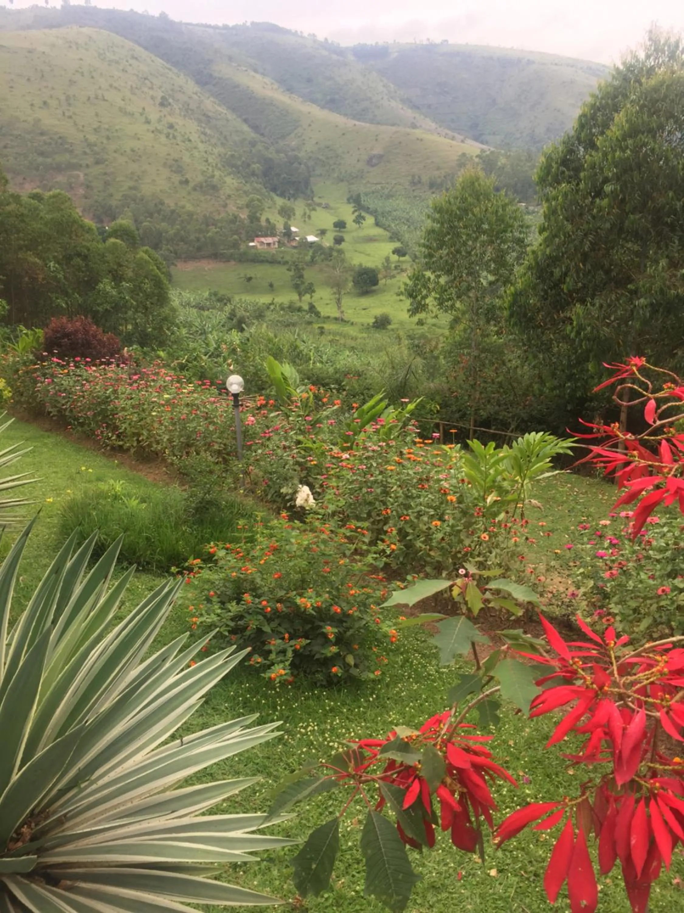 Garden in Nyore Hillside Retreat