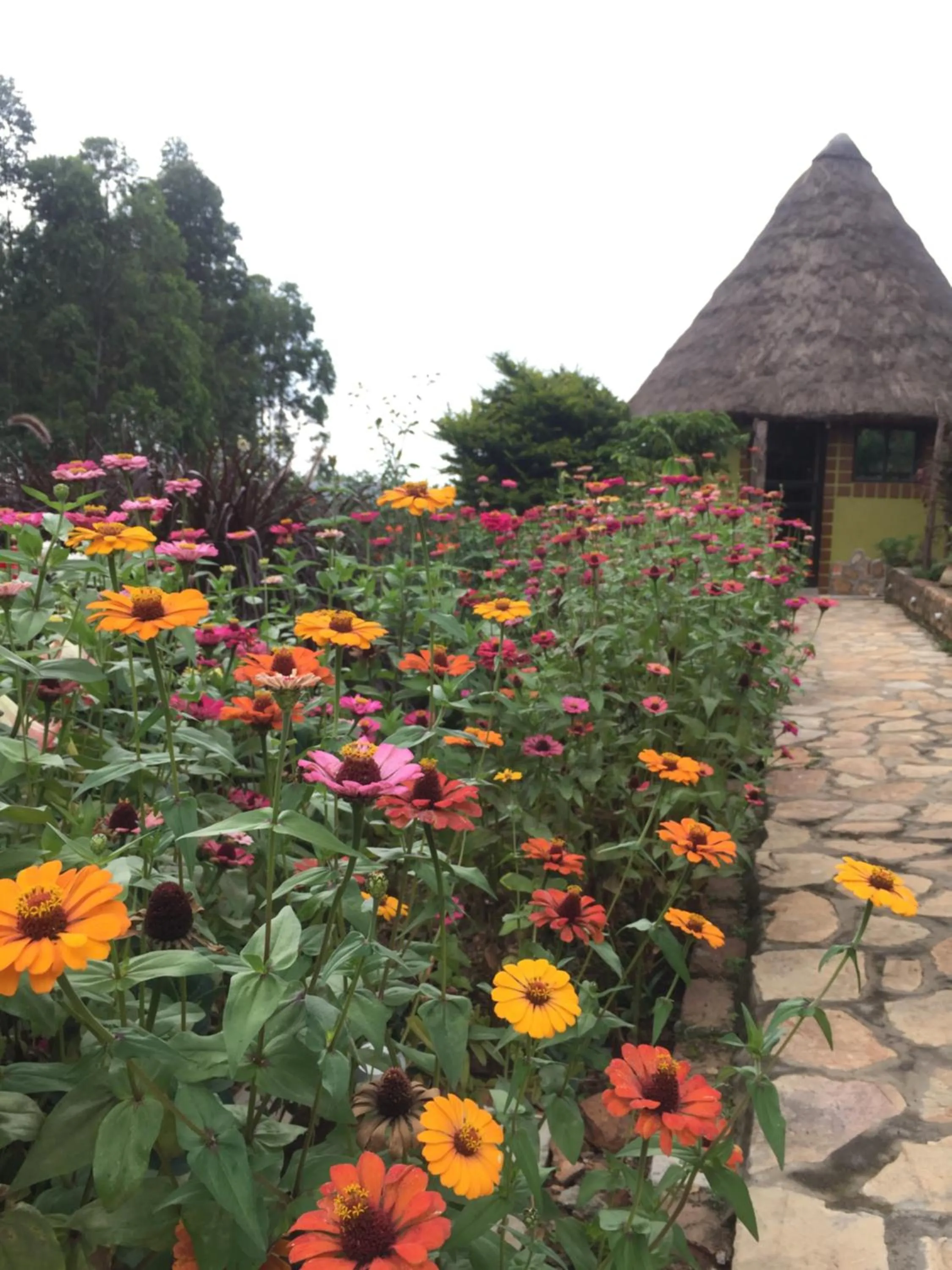 Nyore Hillside Retreat