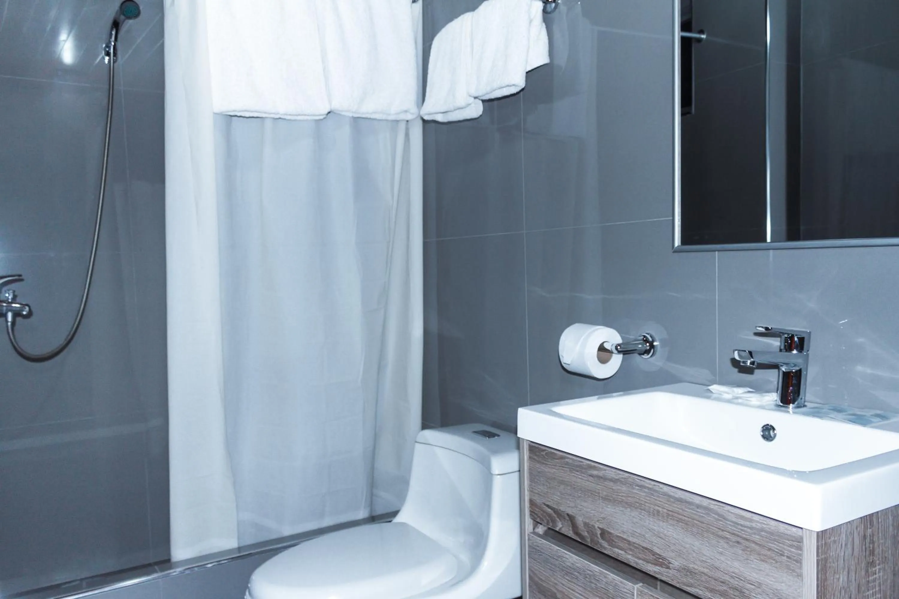 Shower in Hotel Santa Cruz