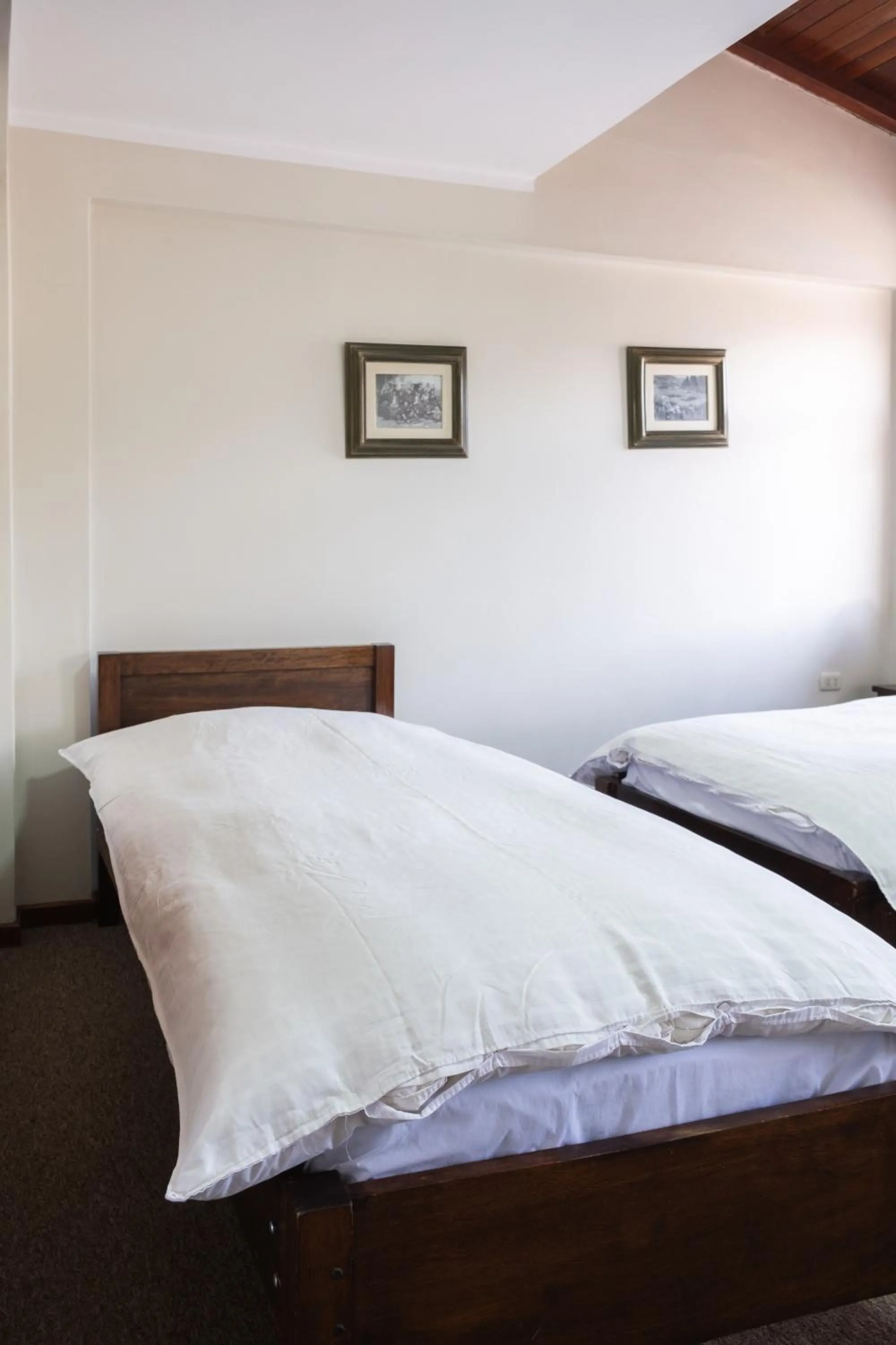 Bed in Hotel Santa Cruz