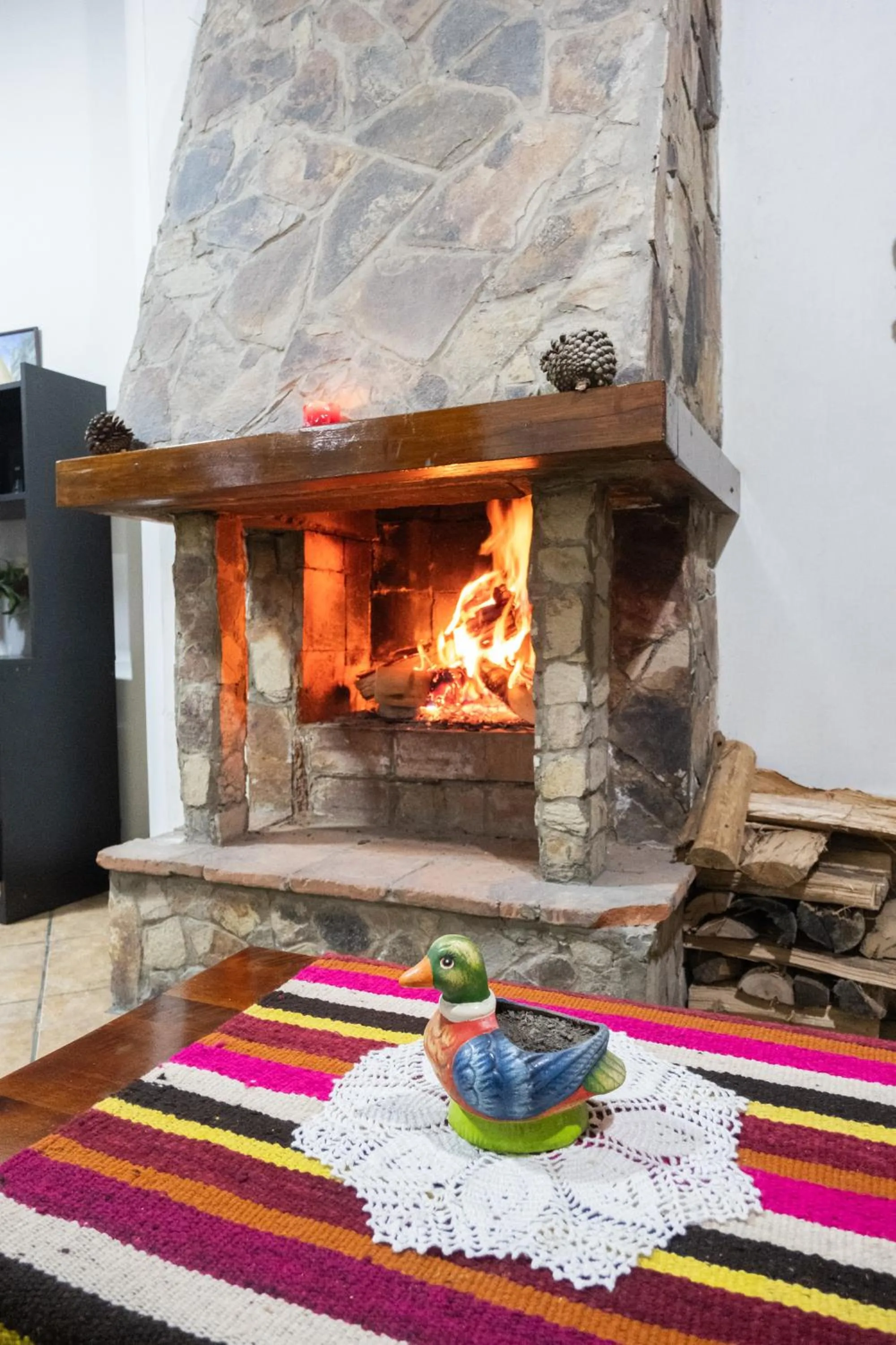 Living room in Hotel Santa Cruz