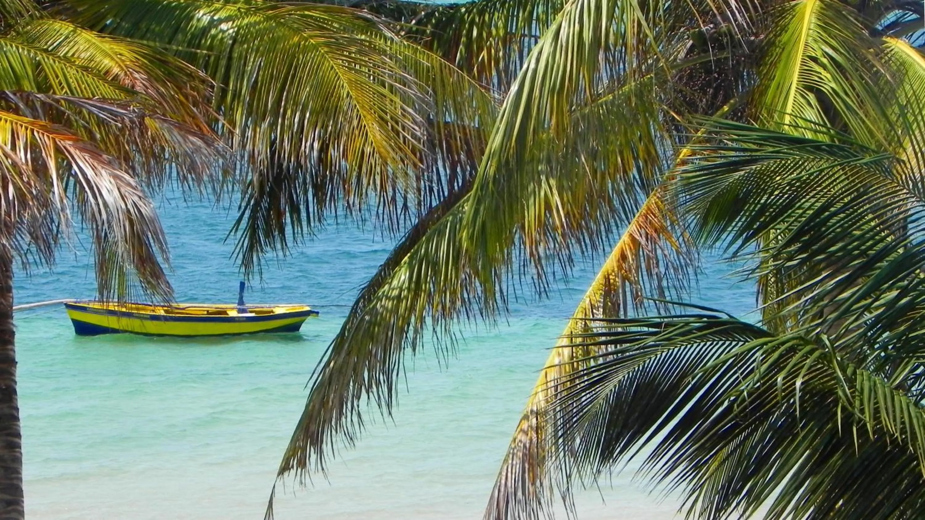 Natural landscape in Archipelago Resort