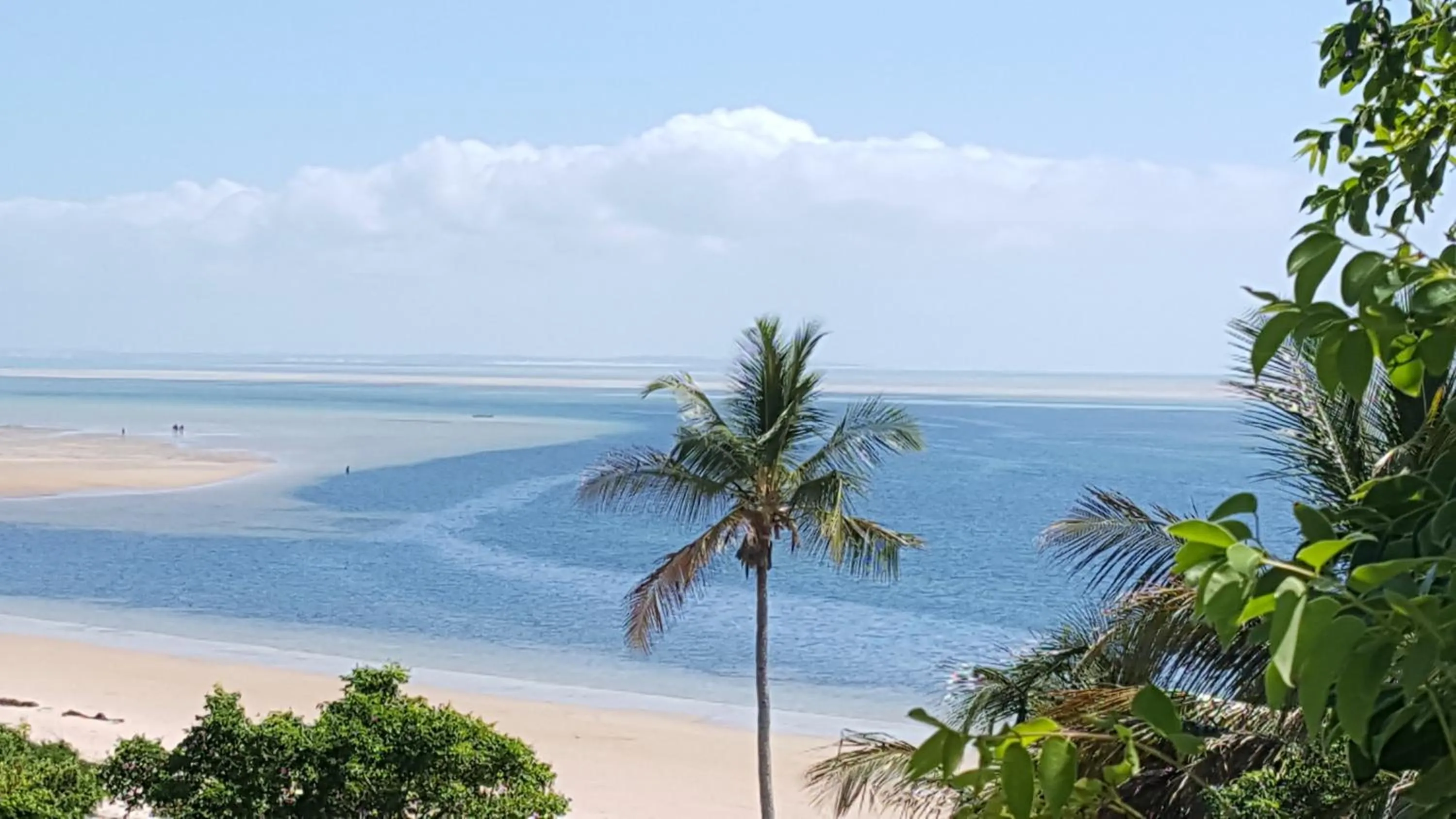 Natural landscape in Archipelago Resort