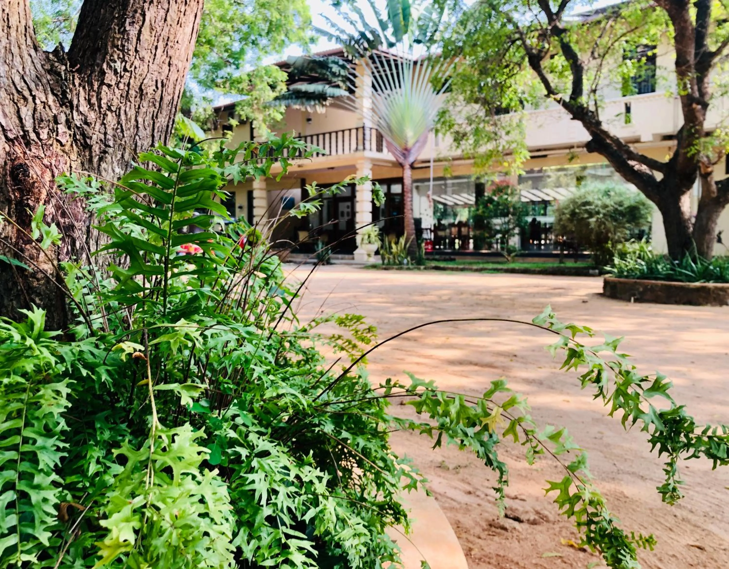 Property building in Saman Resort Yala