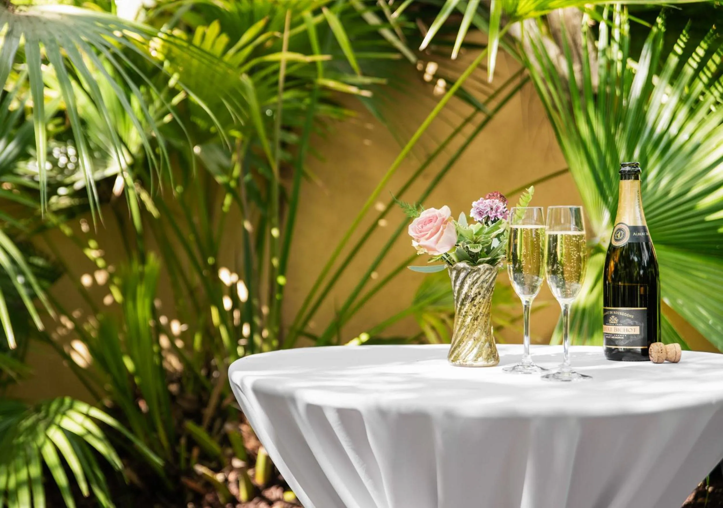Garden in The Jasmine House