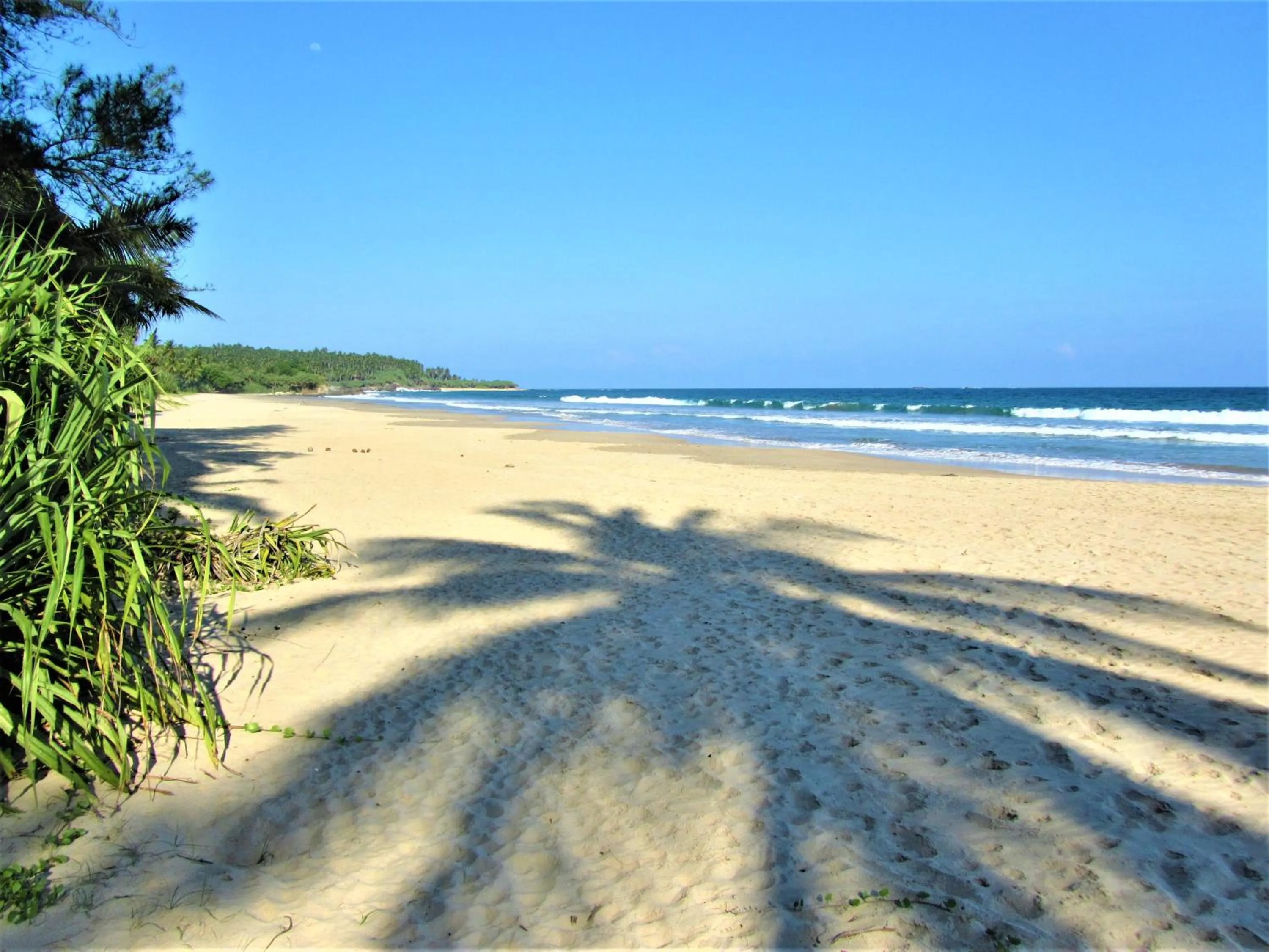 Beach in Isana Beach House