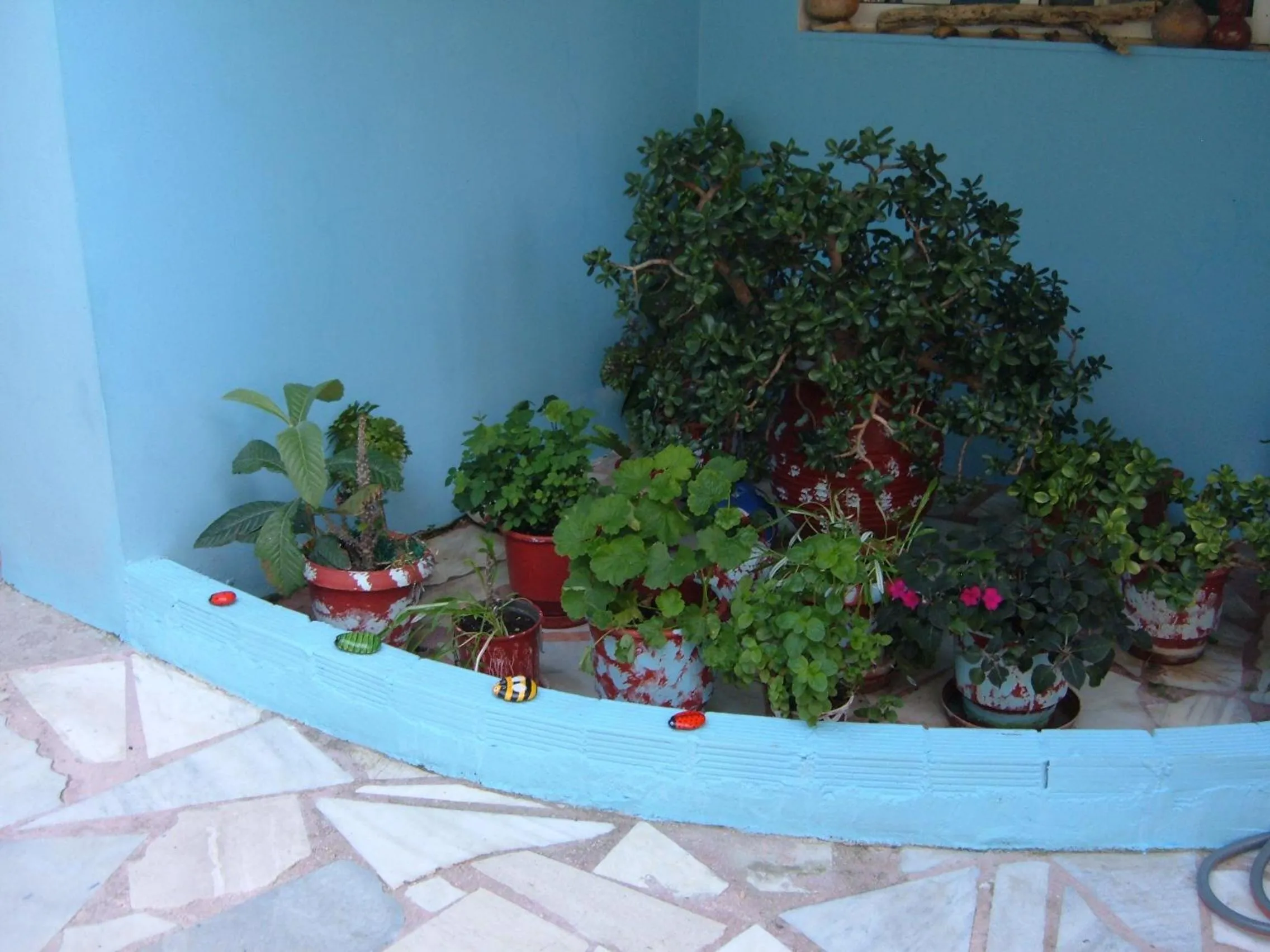 Garden in Poseidon Apartments