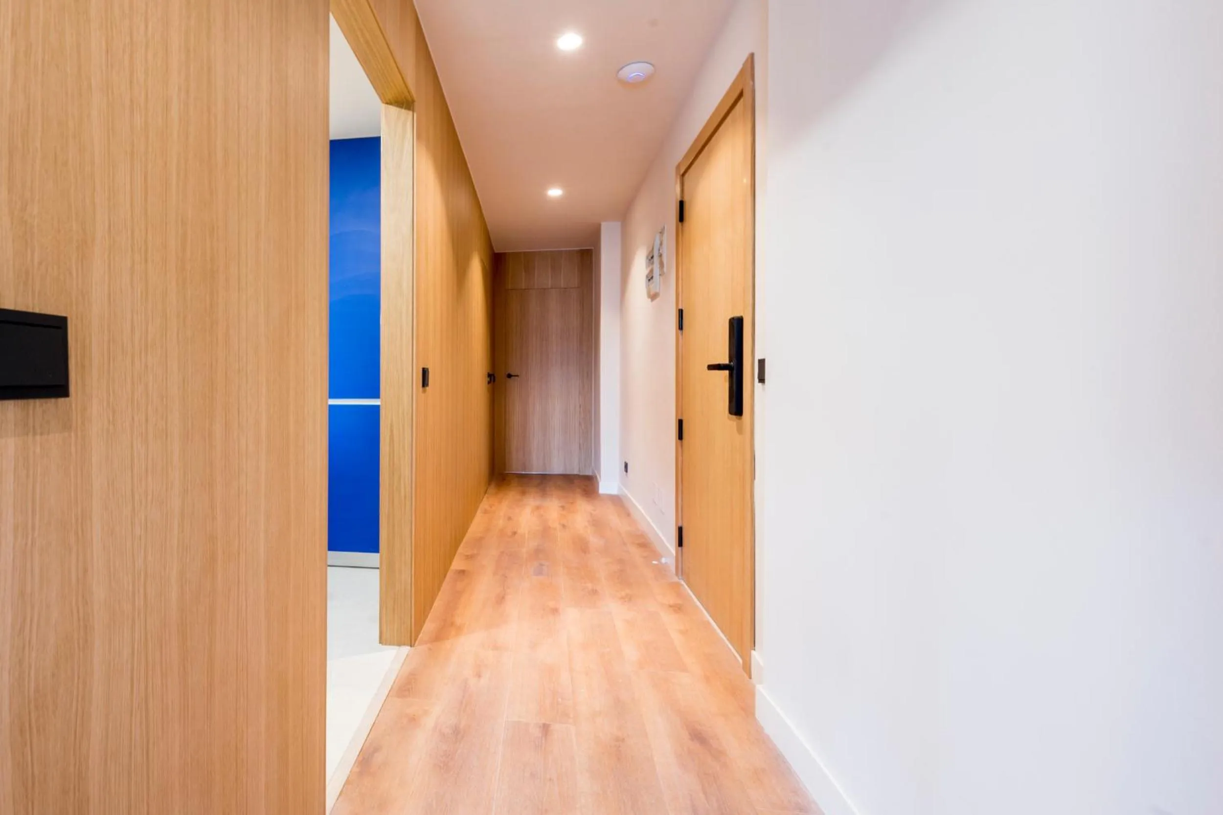 Photo of the whole room in Iconic Suites