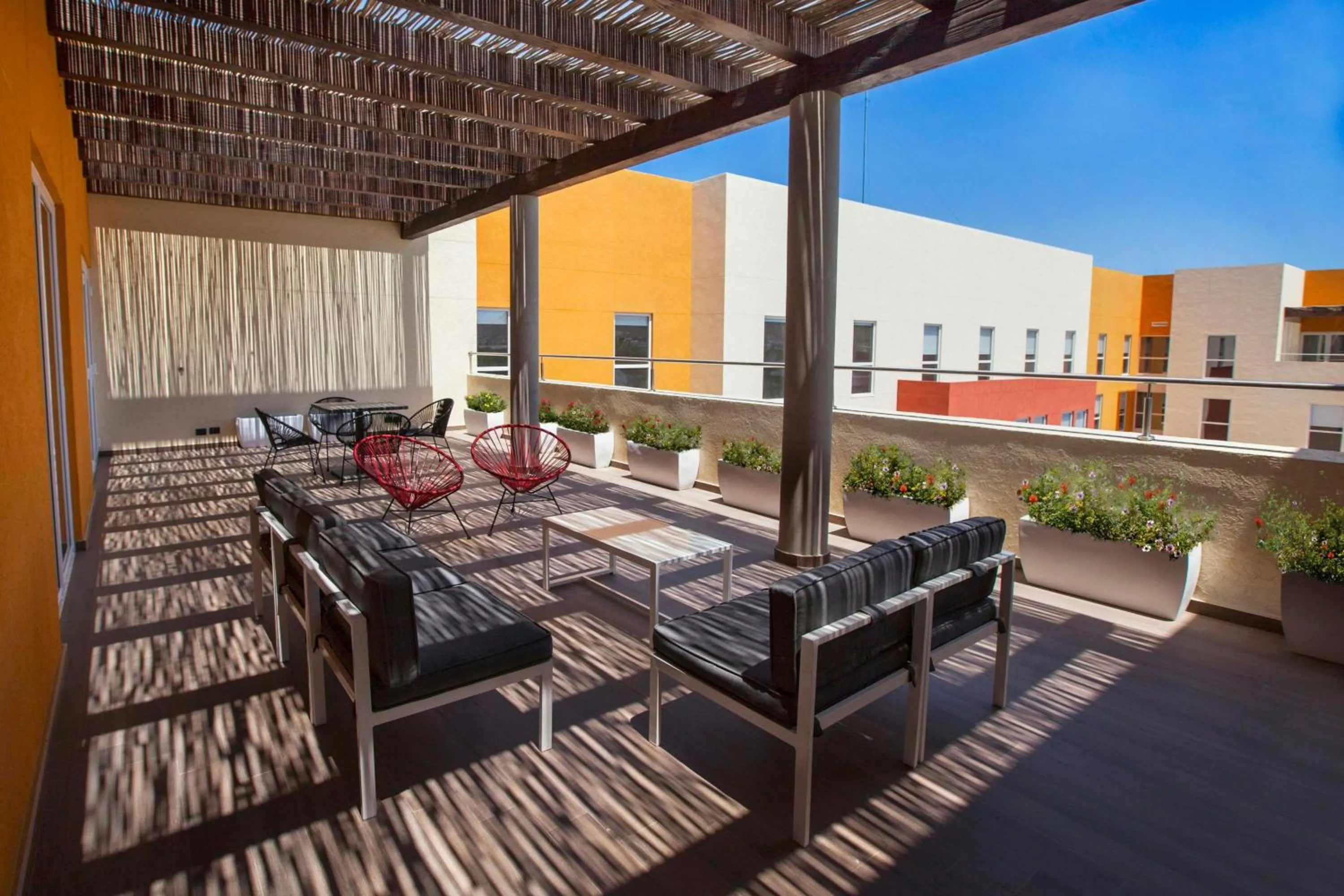 Other in City Express Plus by Marriott Cabo San Lucas