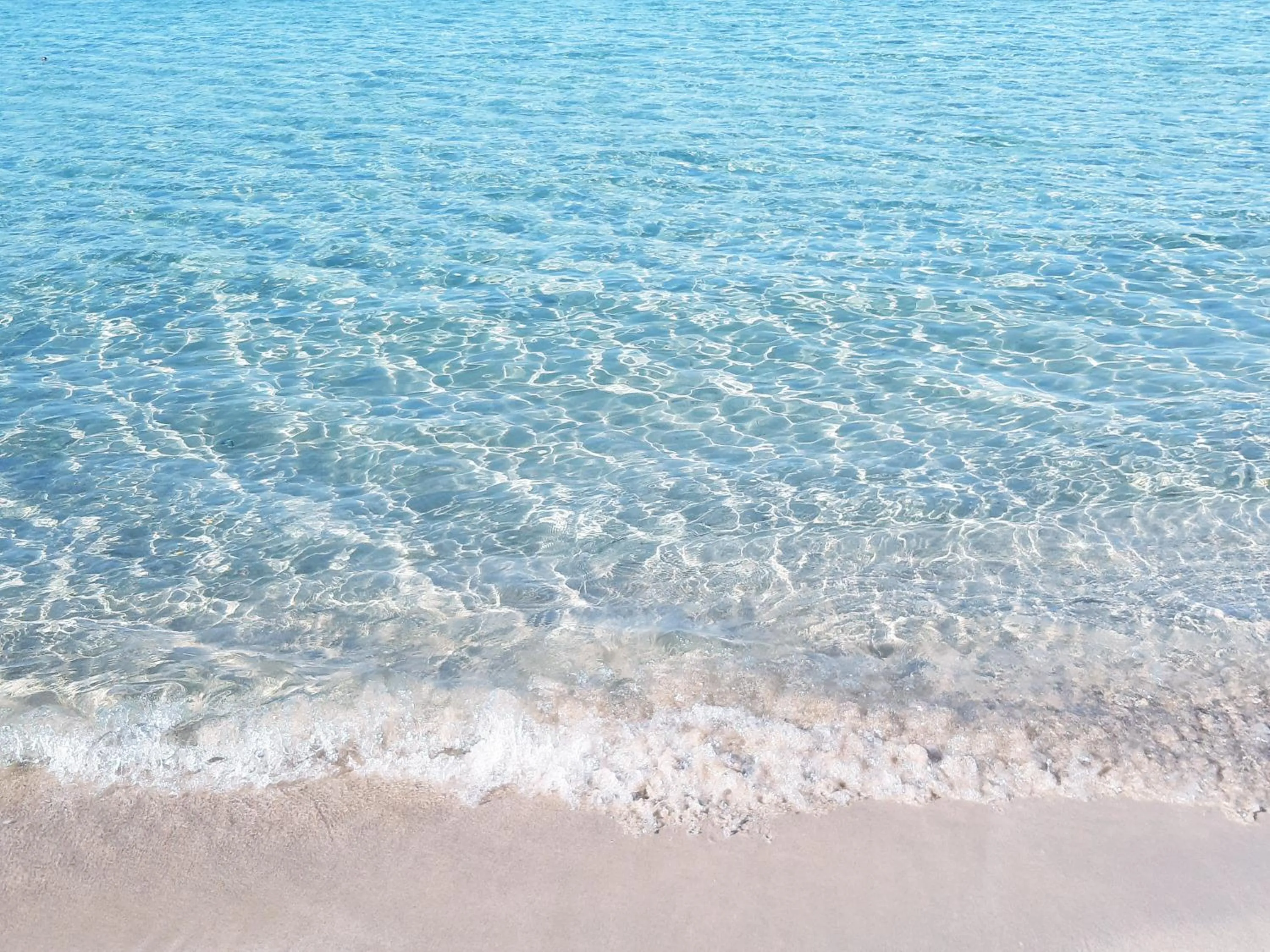 Beach in Hotel Posidonia